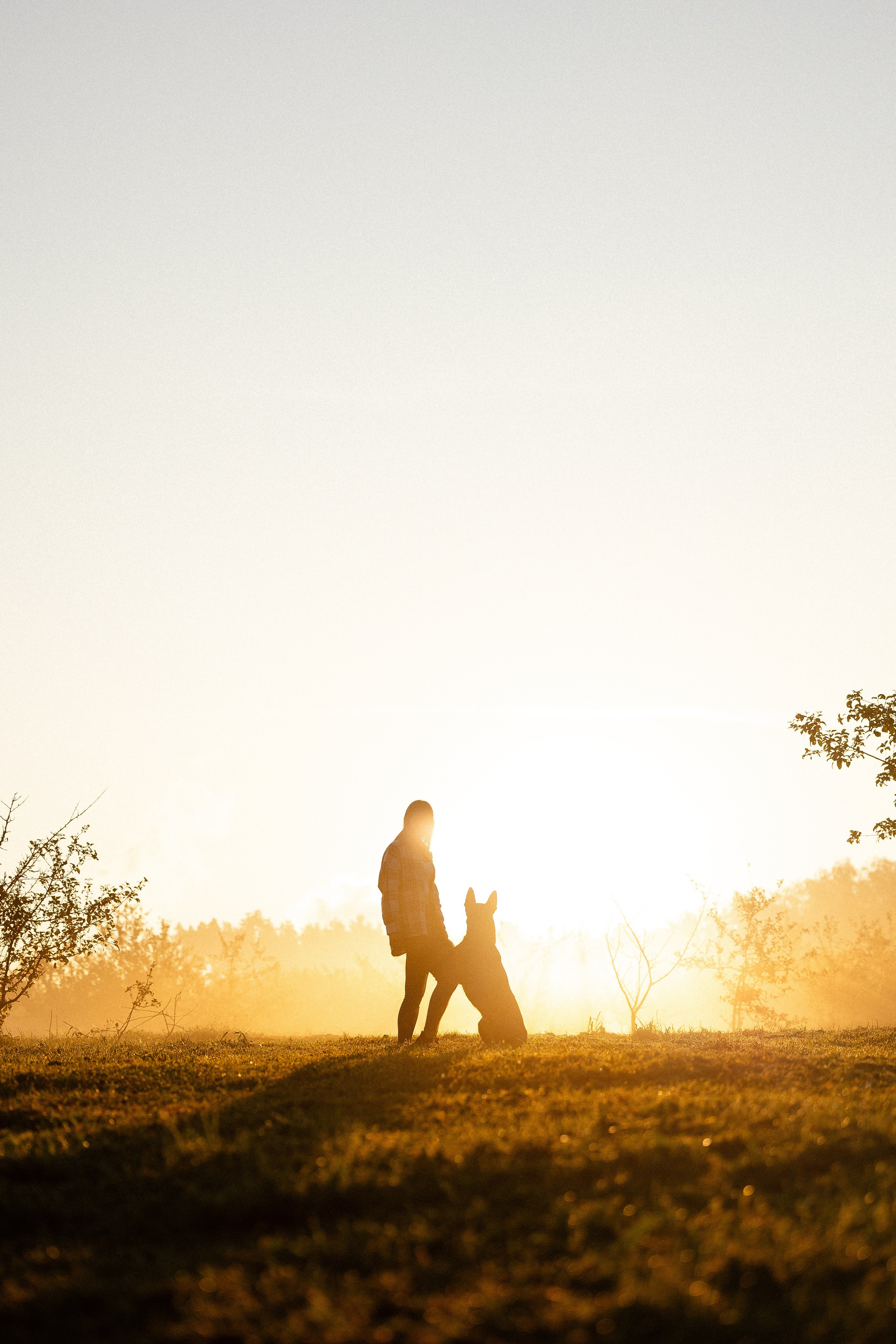 Галина и Кодекс. Фотограф и видеограф анималист Аганина Дарья