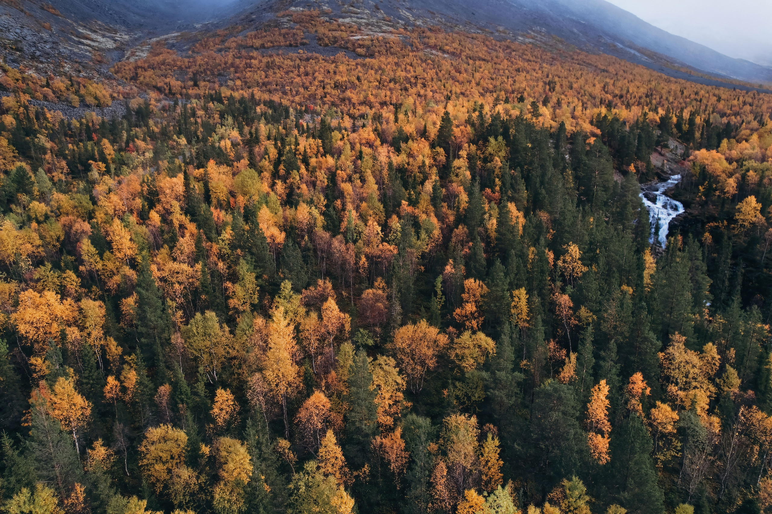 СЕВЕР. Event фотограф Степанова Александра