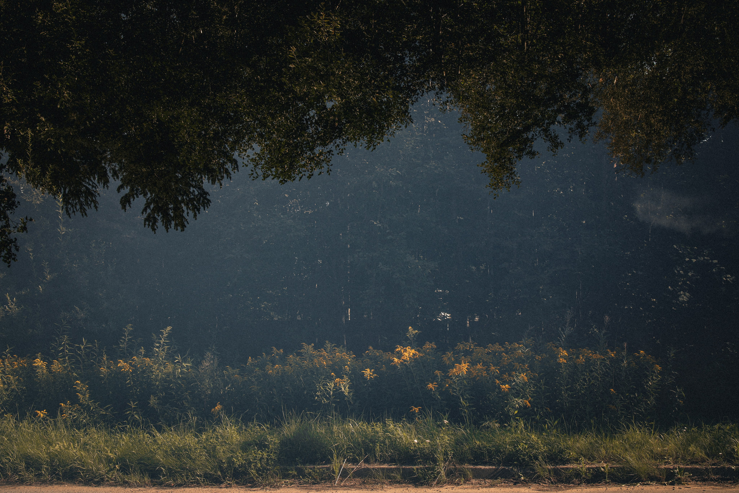 Природа &. Фотохудожник в СПб