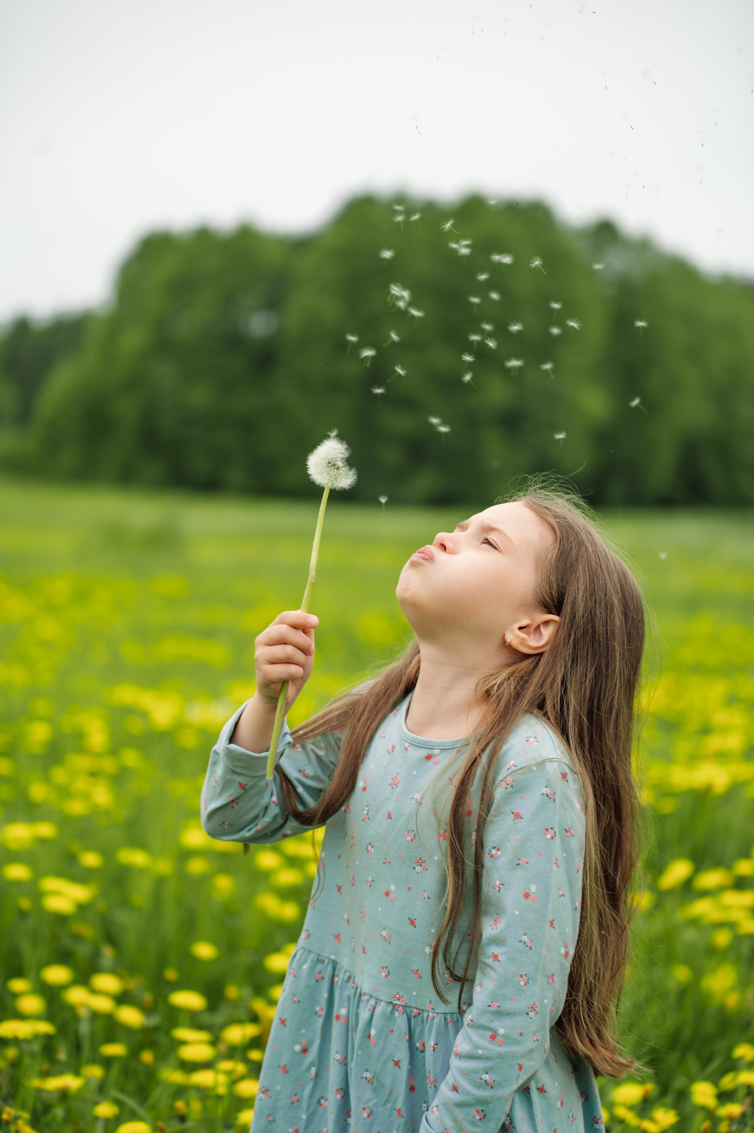 Семейная. Профессиональный фотограф и видеограф в Сортавала Ася Легконогова