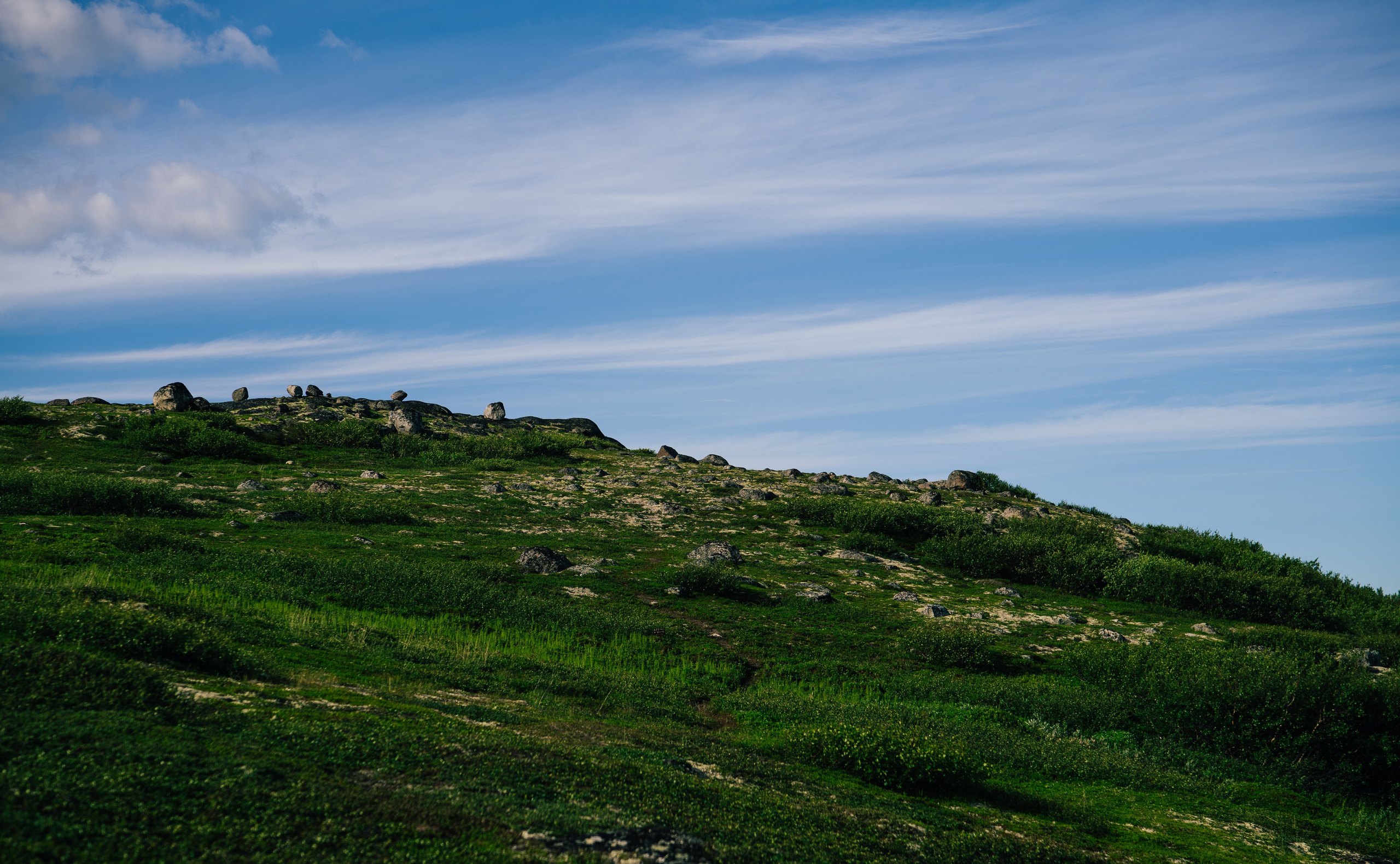 ТЕРИБЕРКА. Создание контента | Фото | Видеосъемка | Александр Ярков
