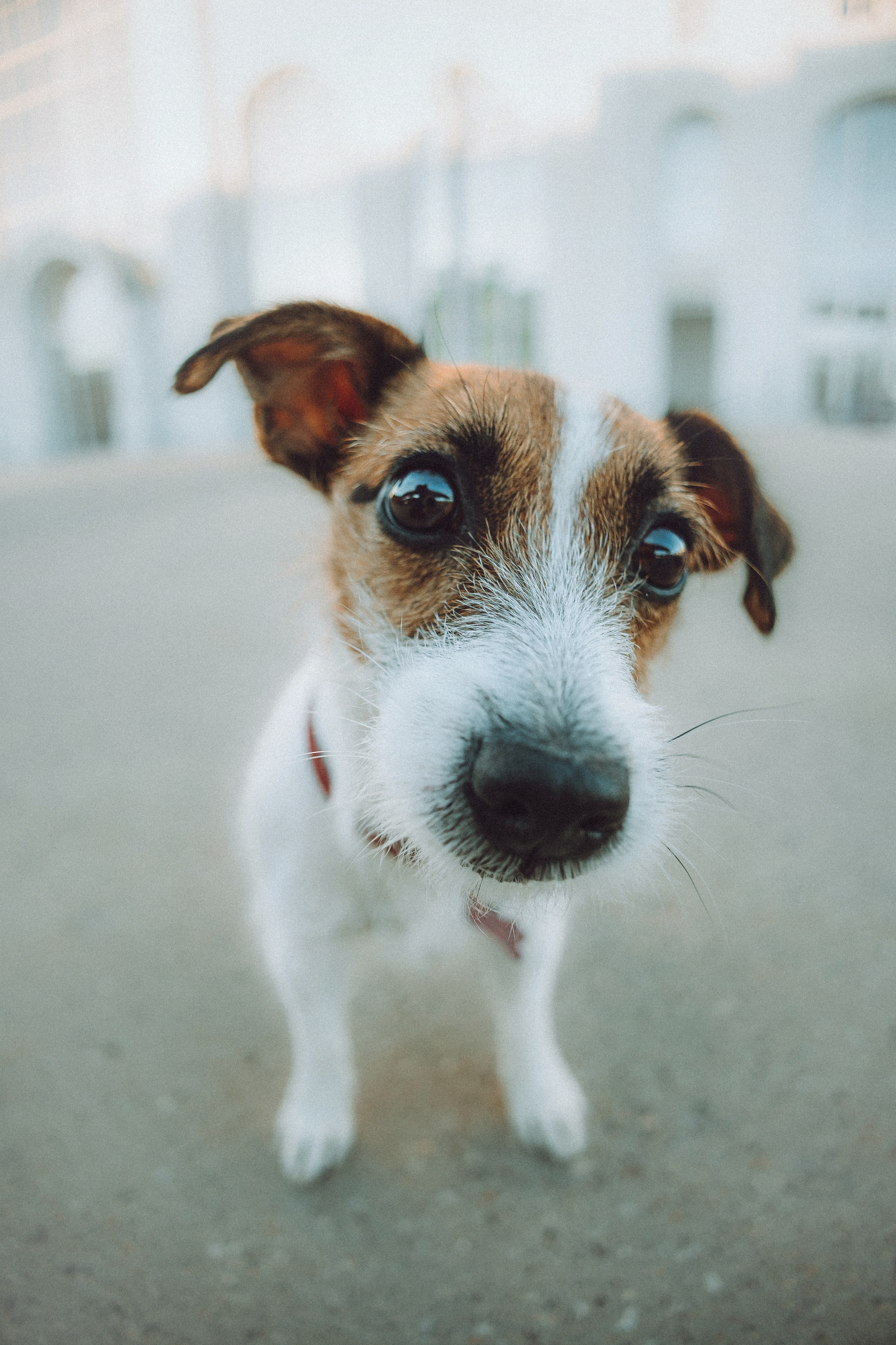 Лера и Рада