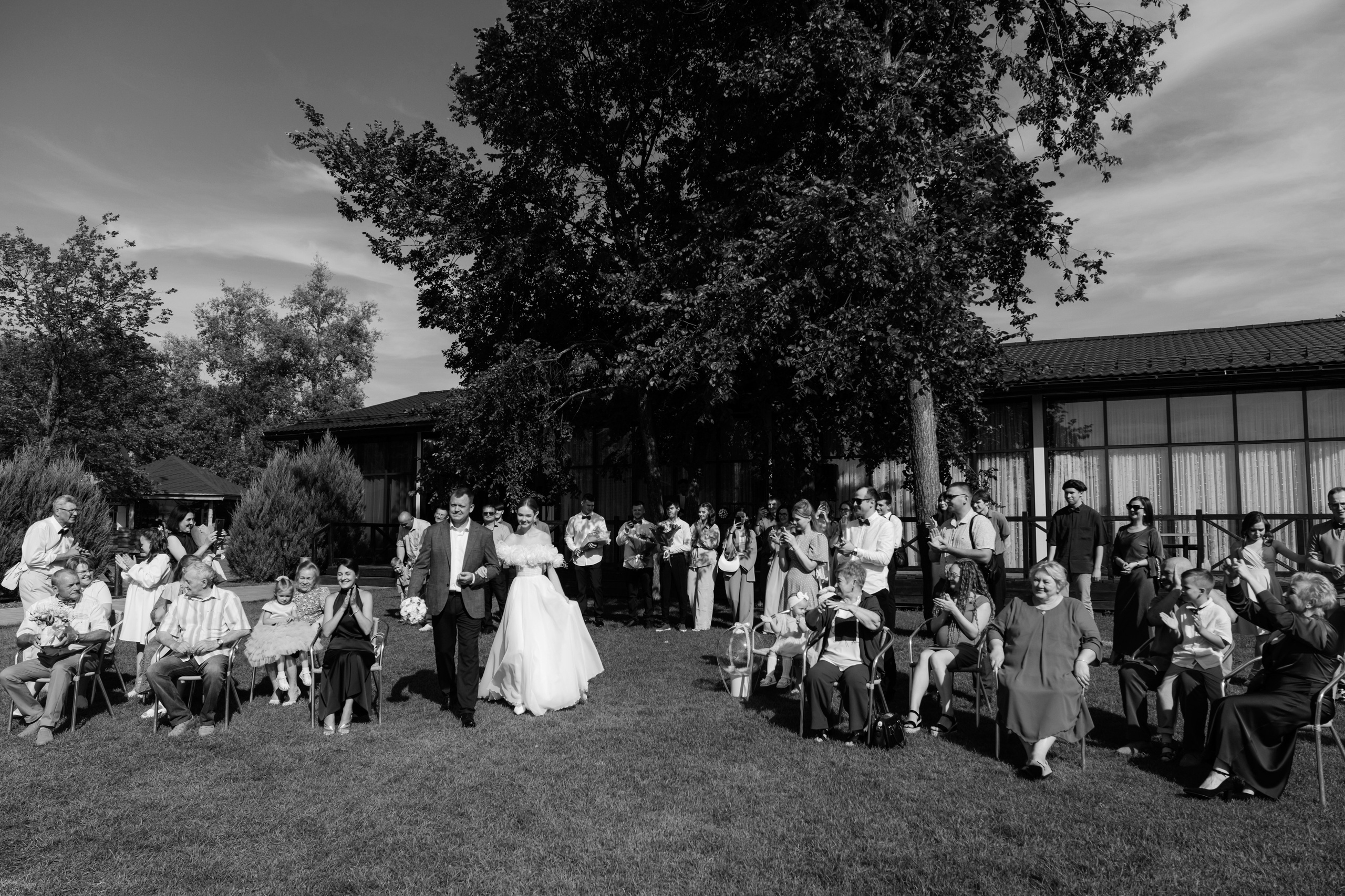 Vladimir Daria. Wedding photographer