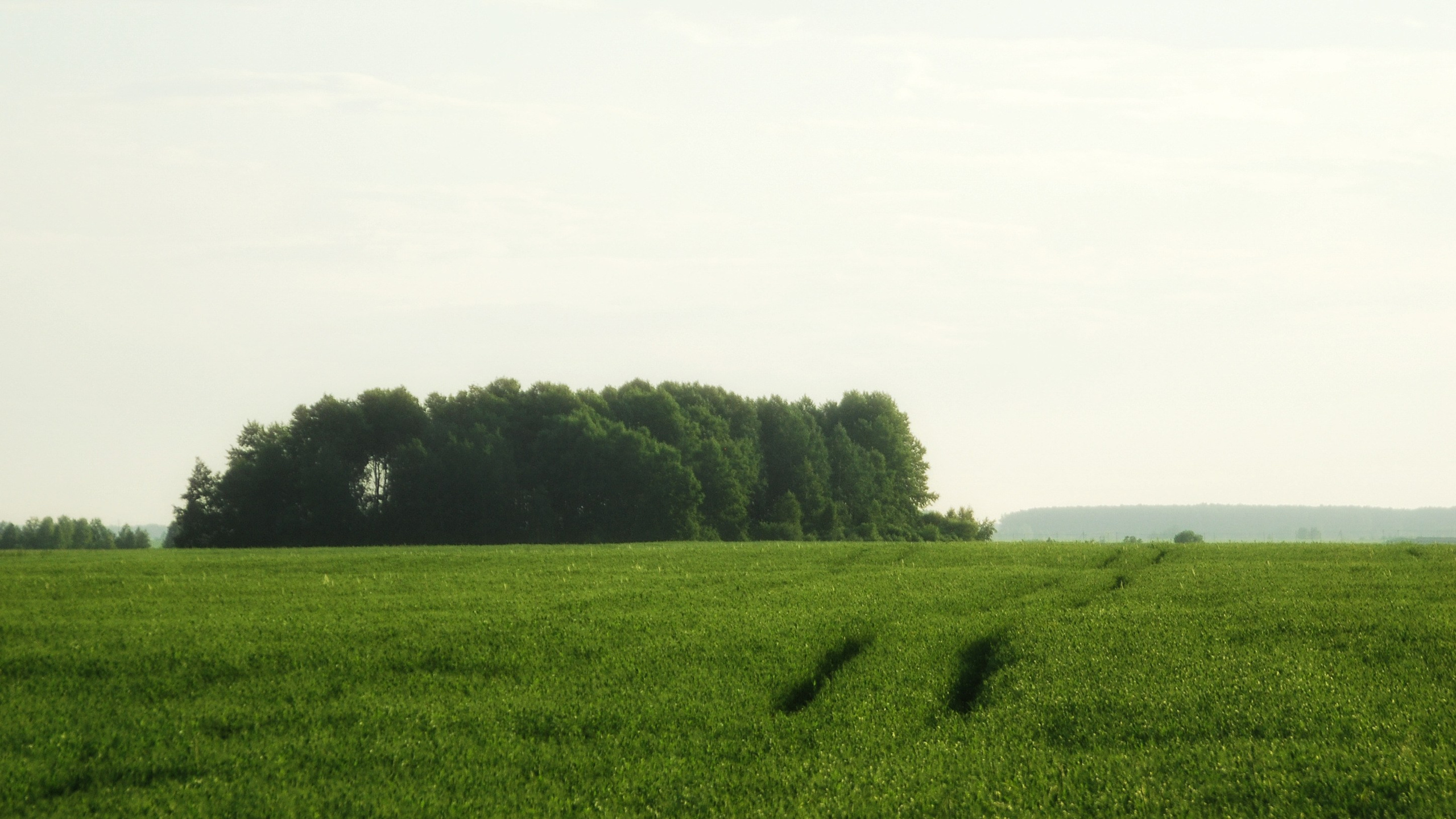 Этот прекрасный мир