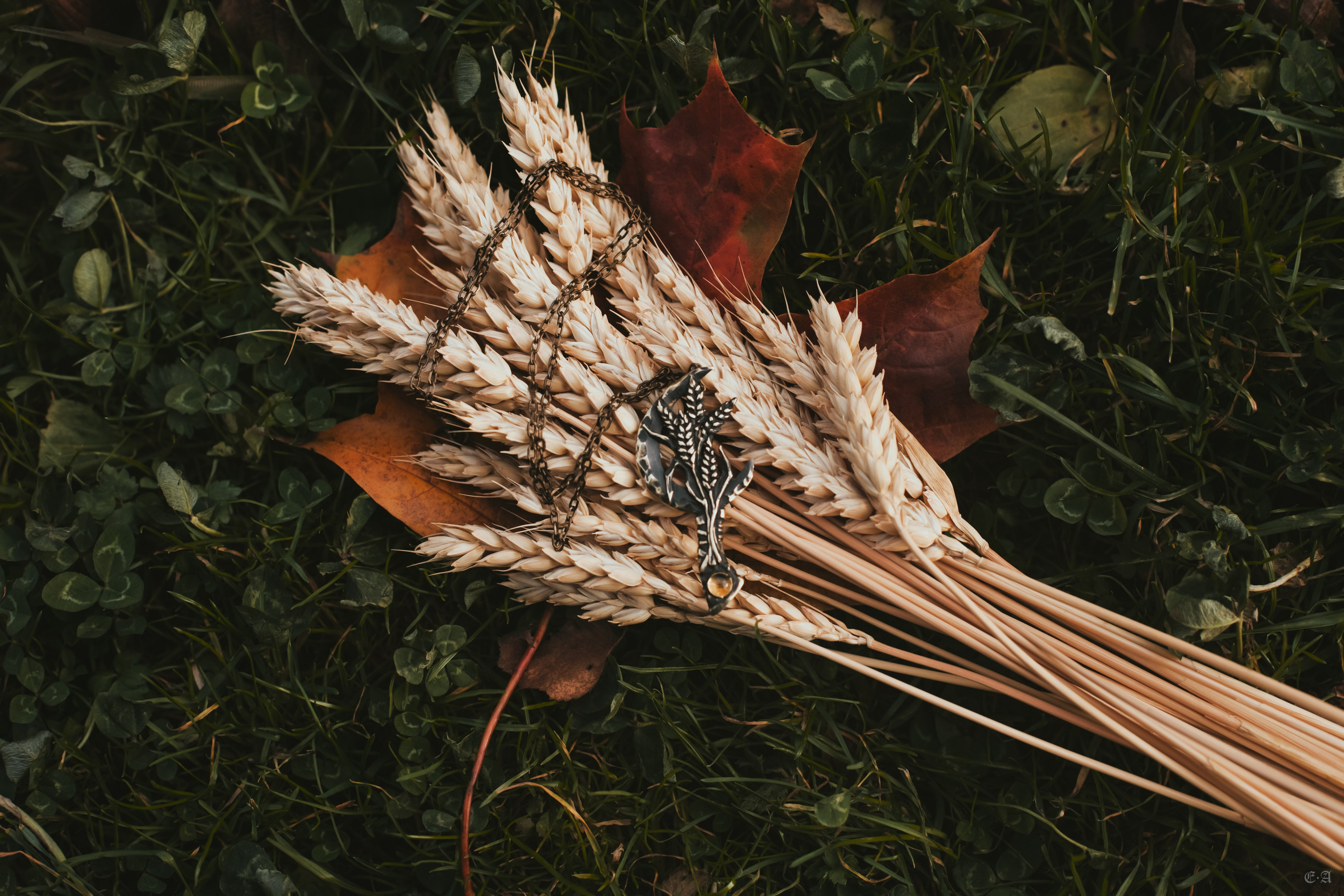 Осенние колосья для Белой Волчицы. Фотограф Ellairen