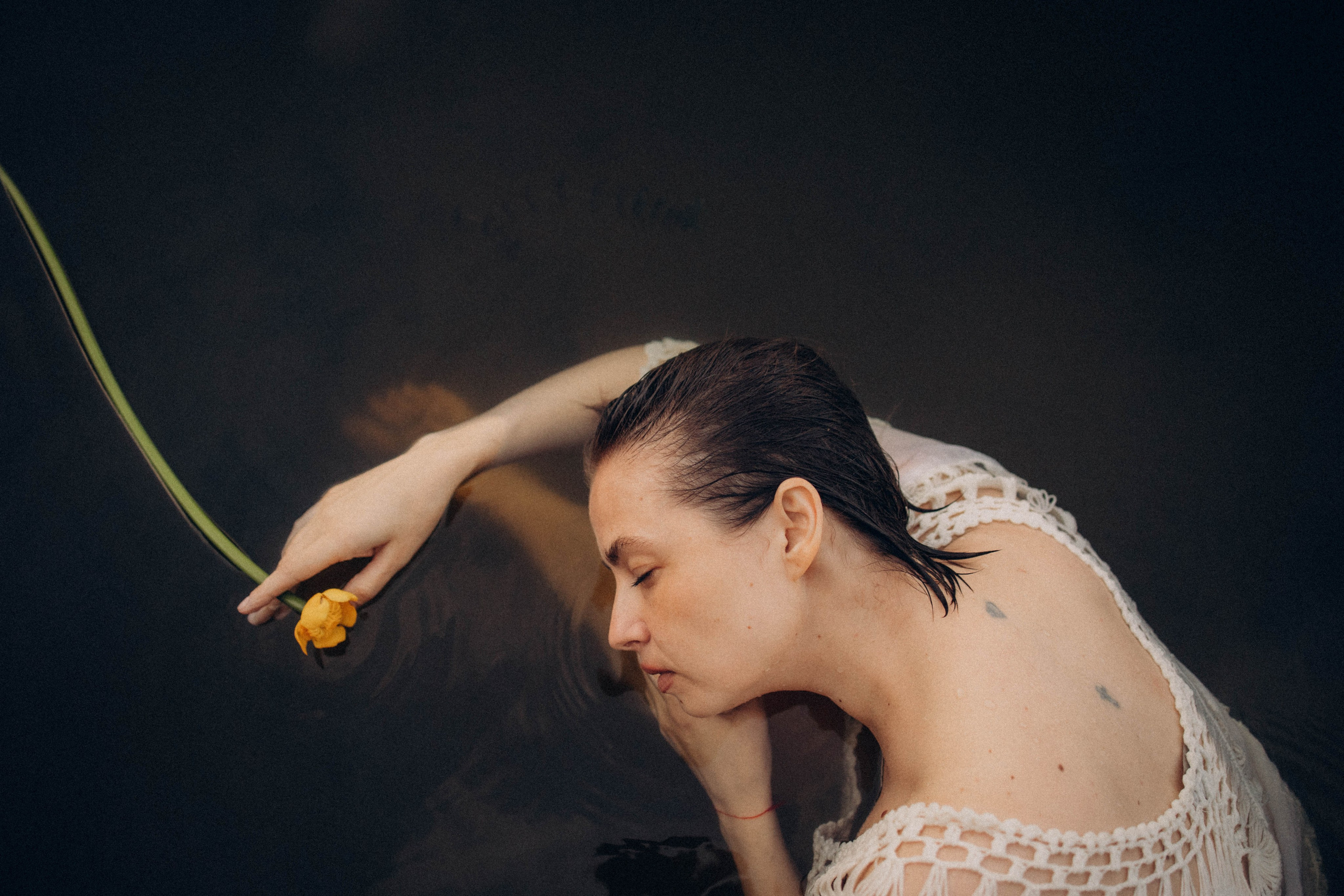 Кувшинки. Главная