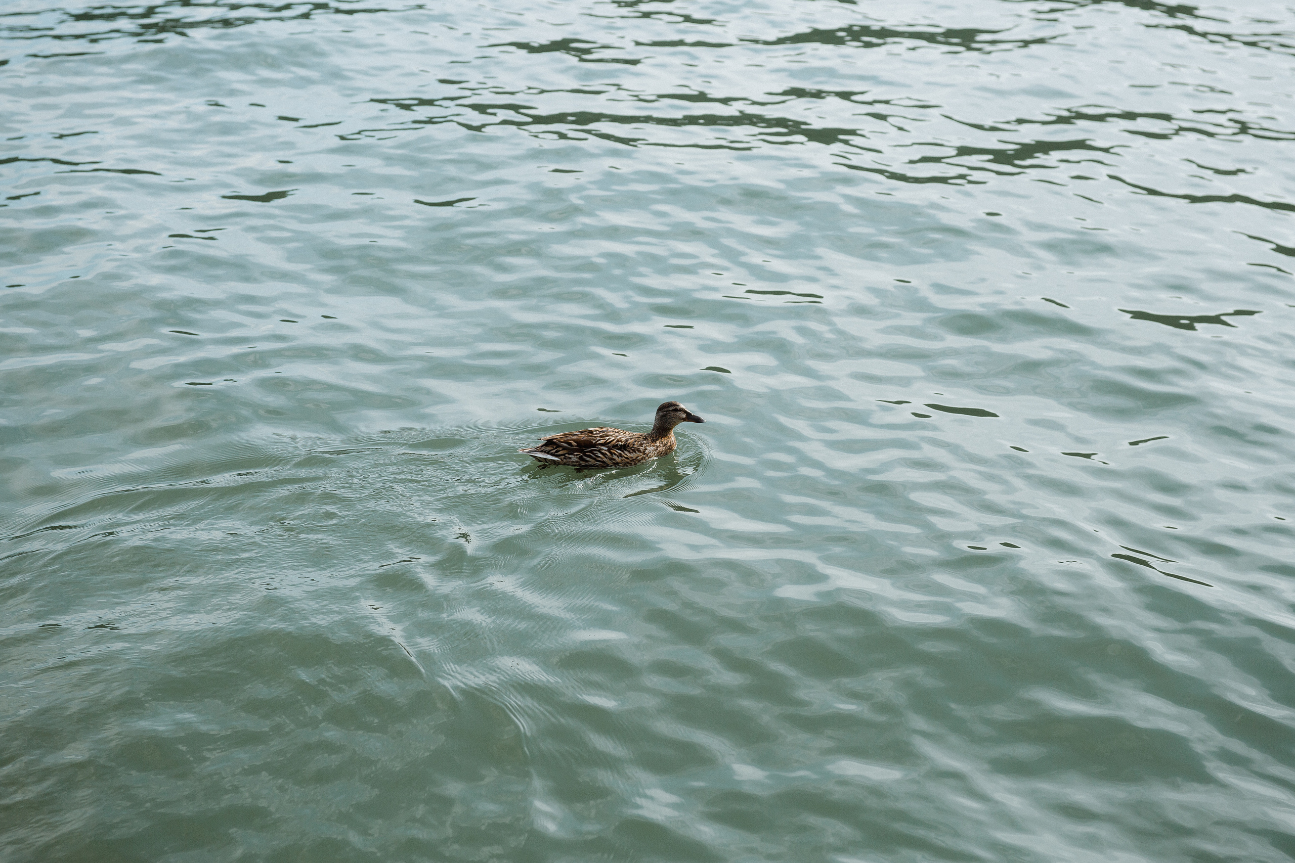 Прогулка по Абрау Дюрсо / Мама и дочь. Свадебный и семейный фотограф в Анапе/Новороссийске Виктория Чайка