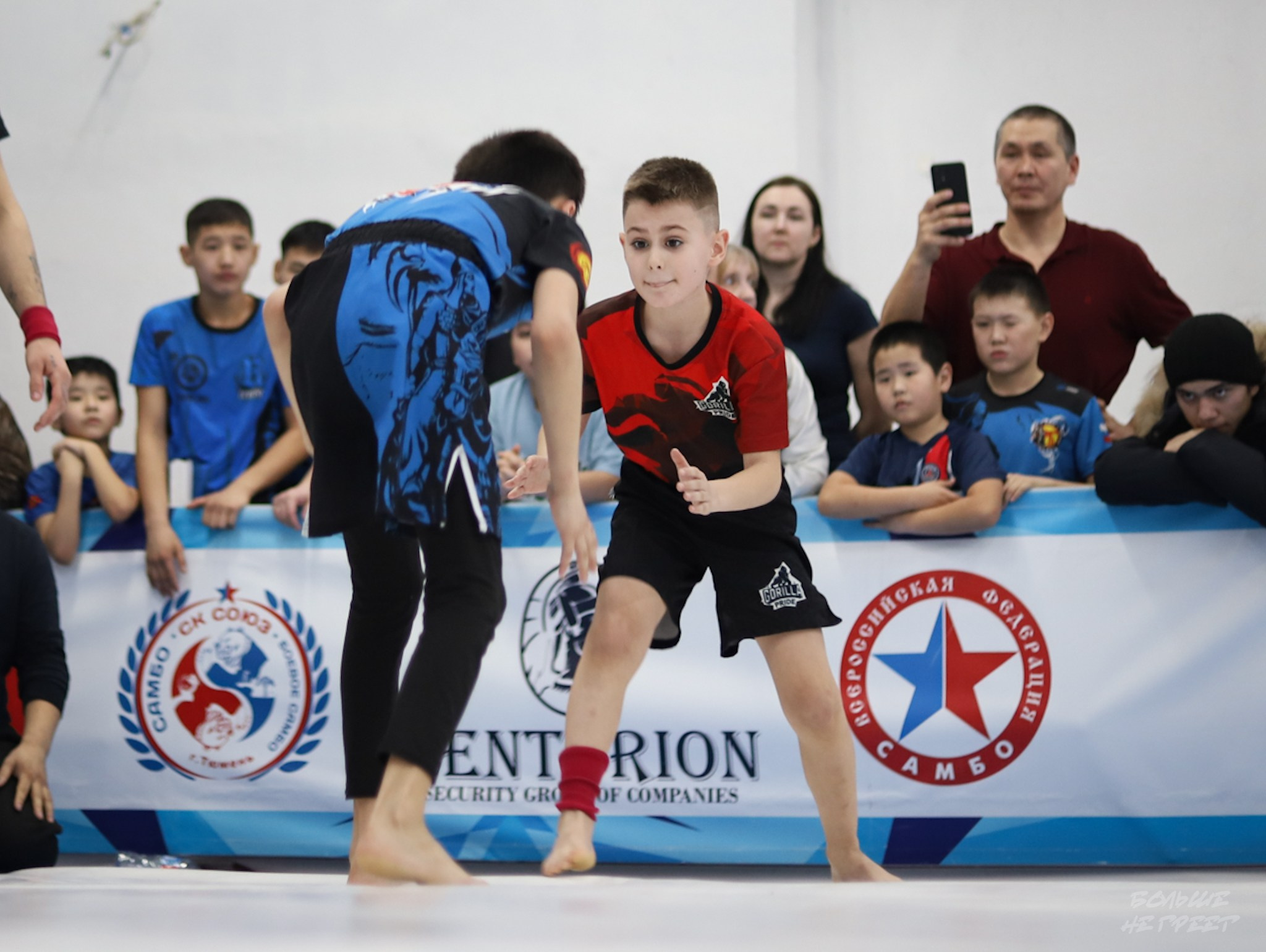 GORILLA PRIDE CUP. Больше не греет