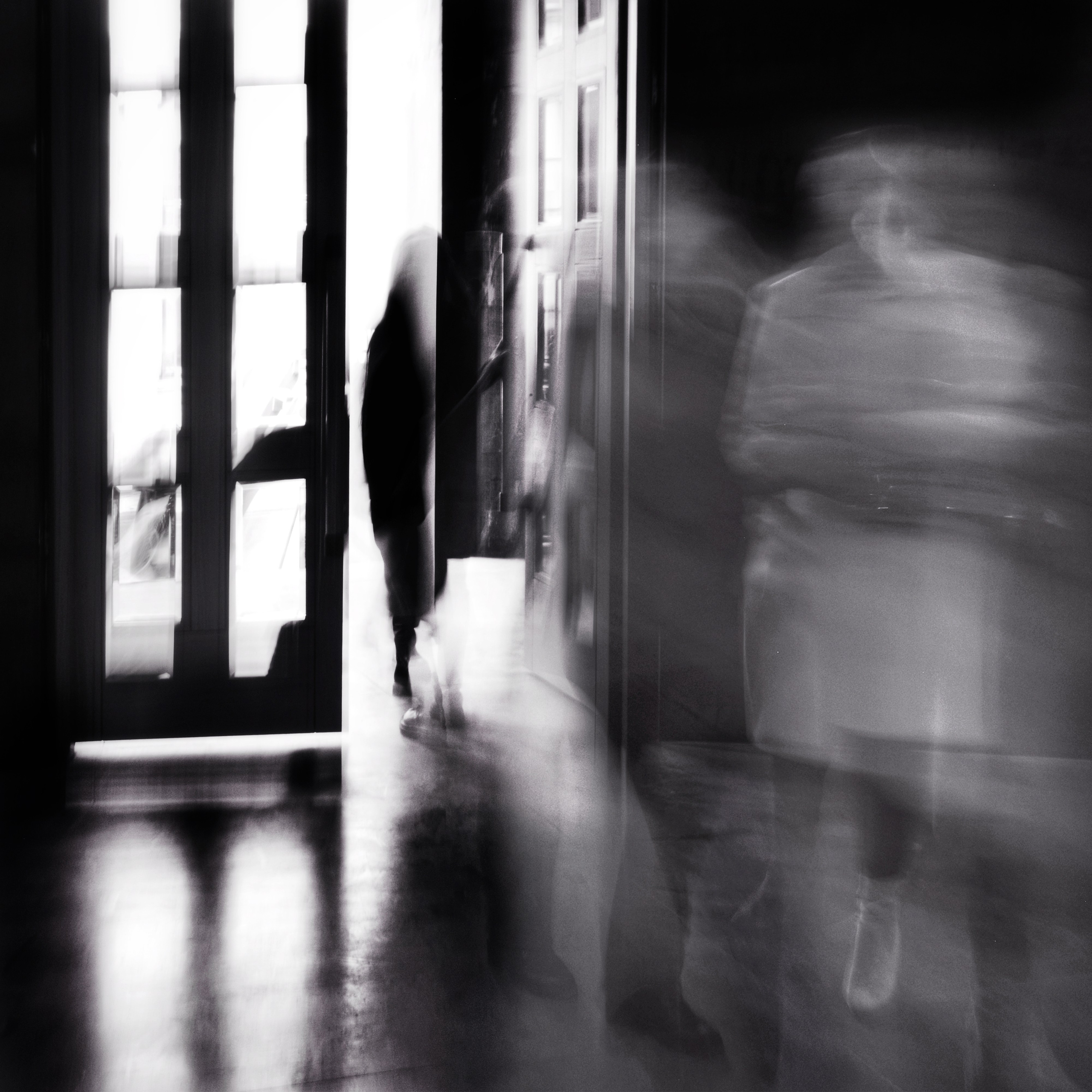 Primavera. Metagraphy