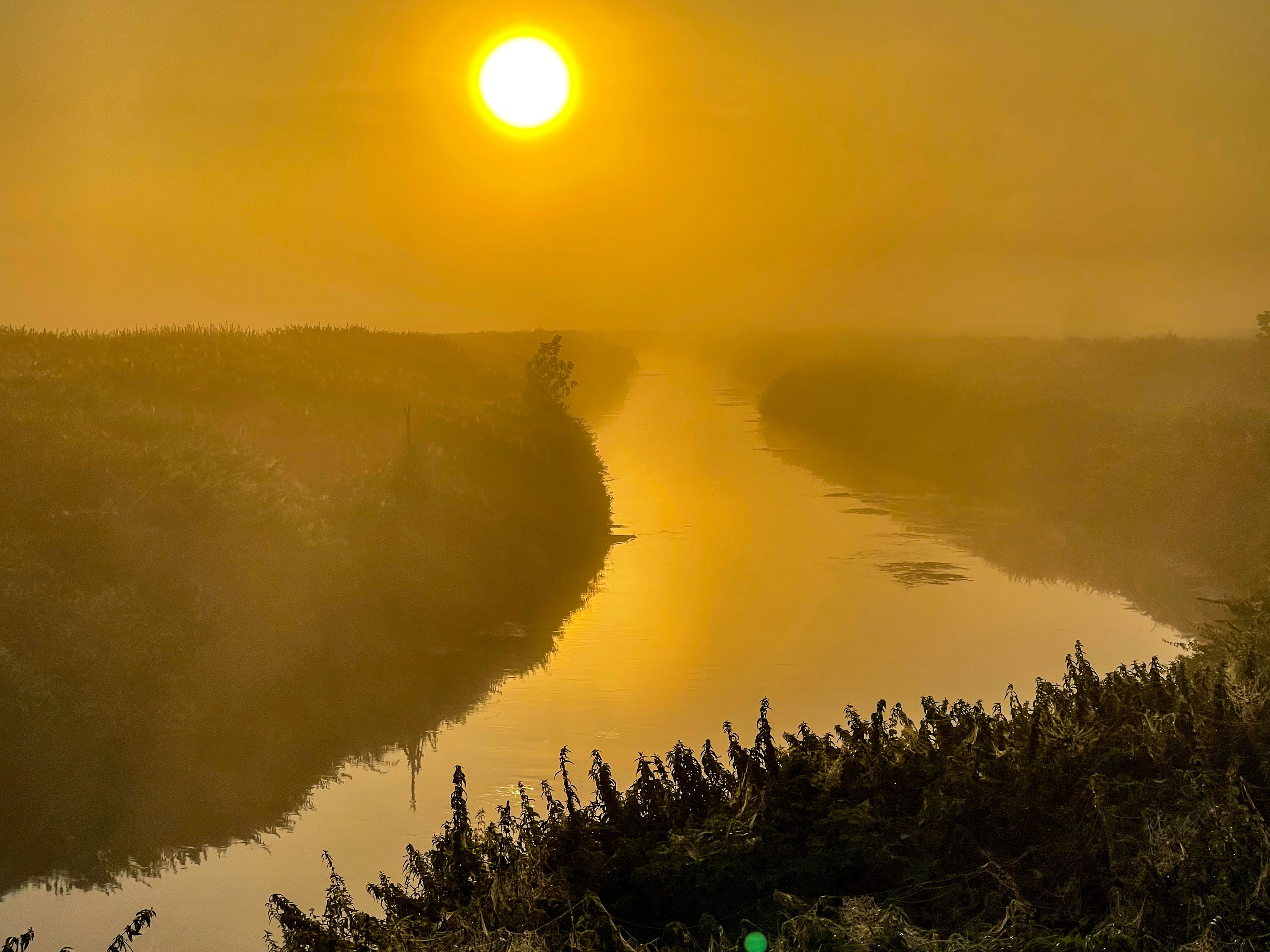 Разведка. Exploring. Wildlife photography by Sergey Puponin