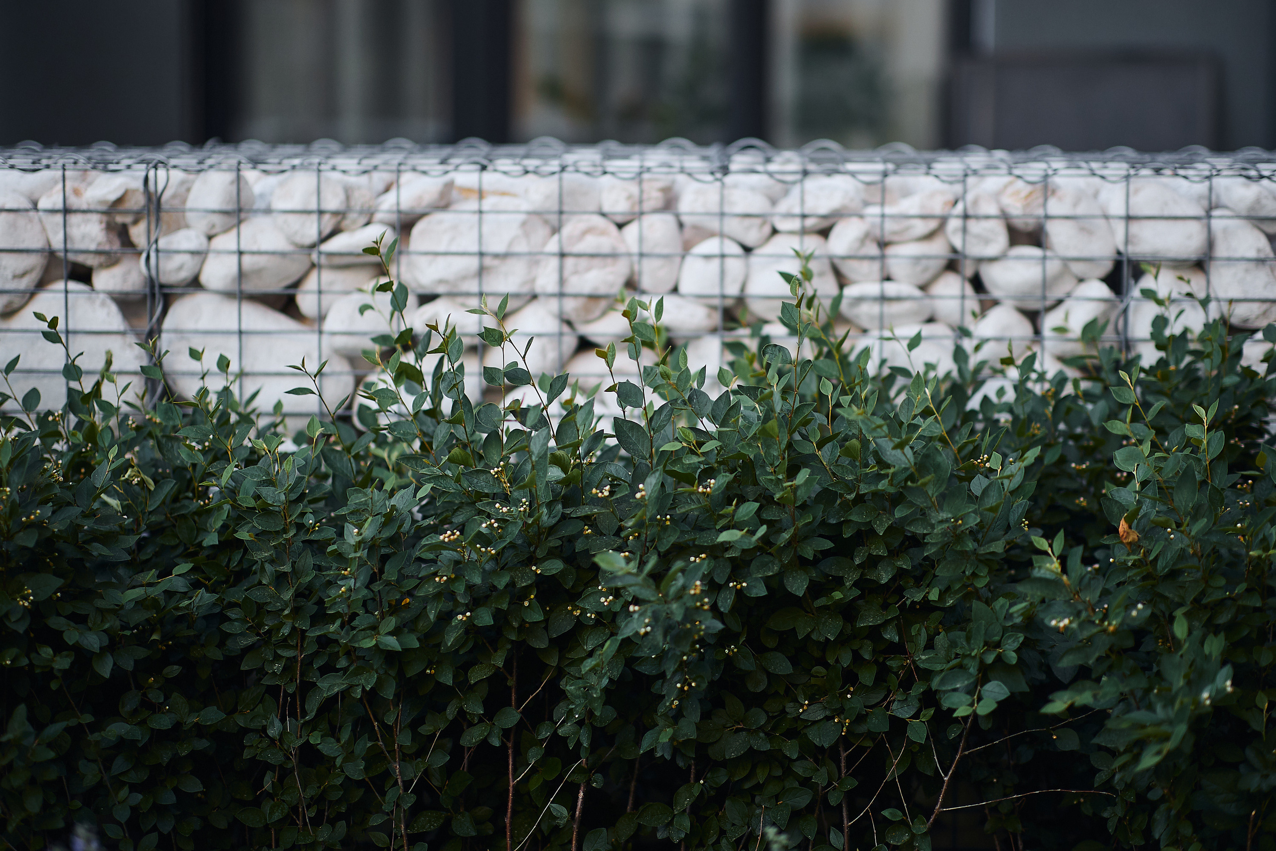 Никольский. Бизнес портрет Аэросъемка Интерьерная съемка Тюмень