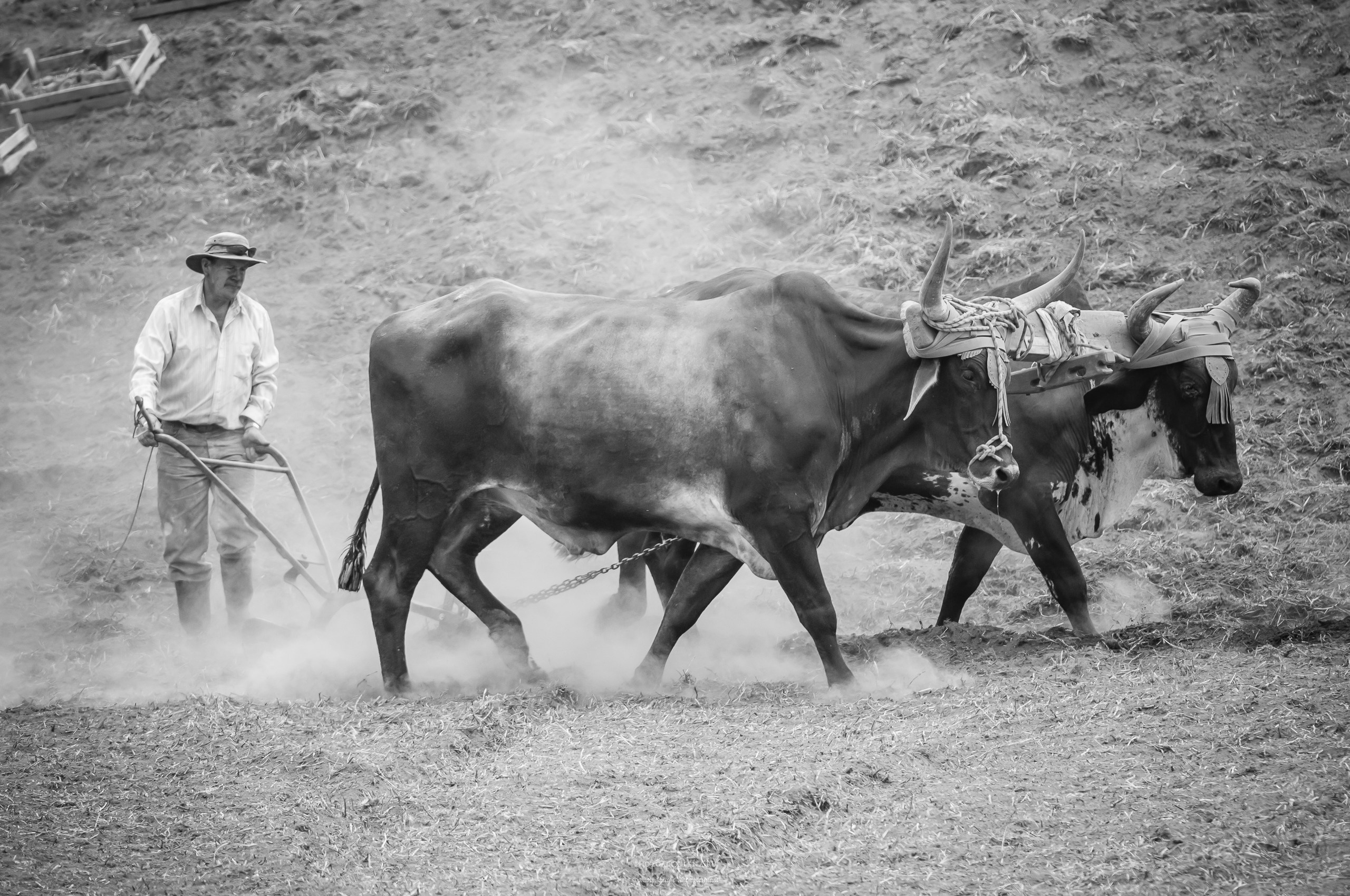 Решающий момент. Авторские стильные фотокартины
