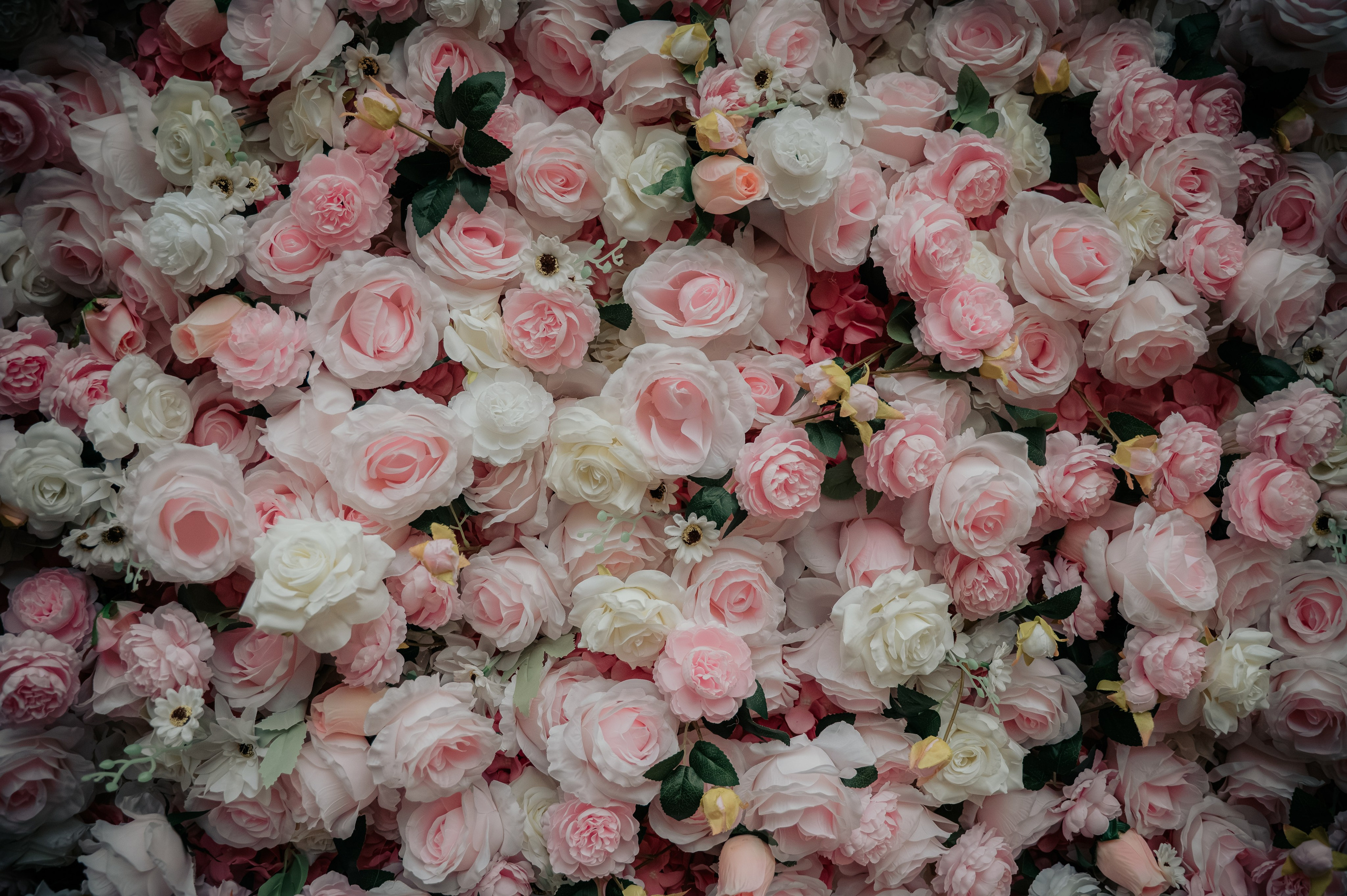 Свадьба Айбулата и Карины. Фотограф/видеограф Богдан Голованов