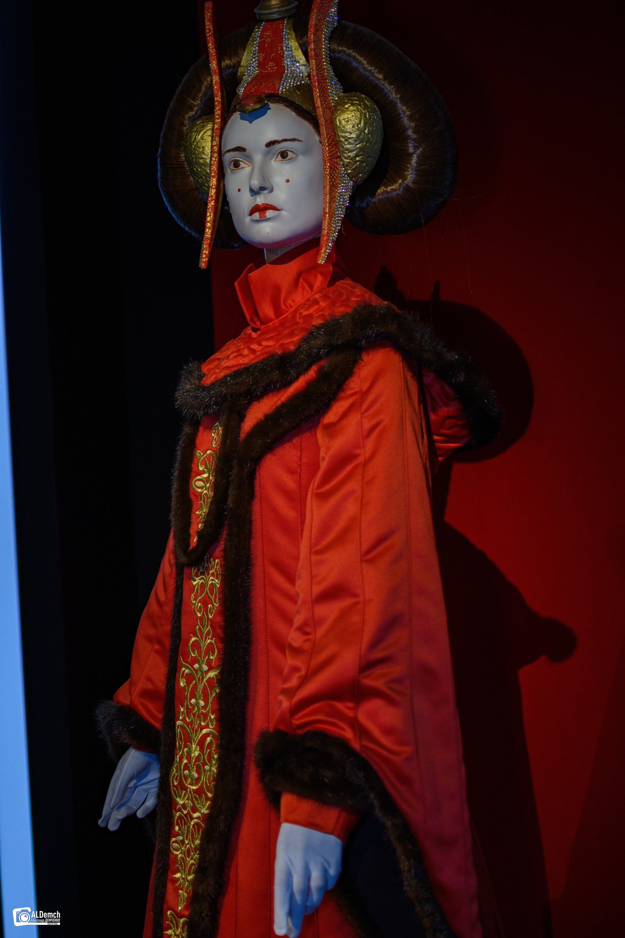 Выставка-косплей «В далекой-далекой Галактике» на ВДНХ Фото