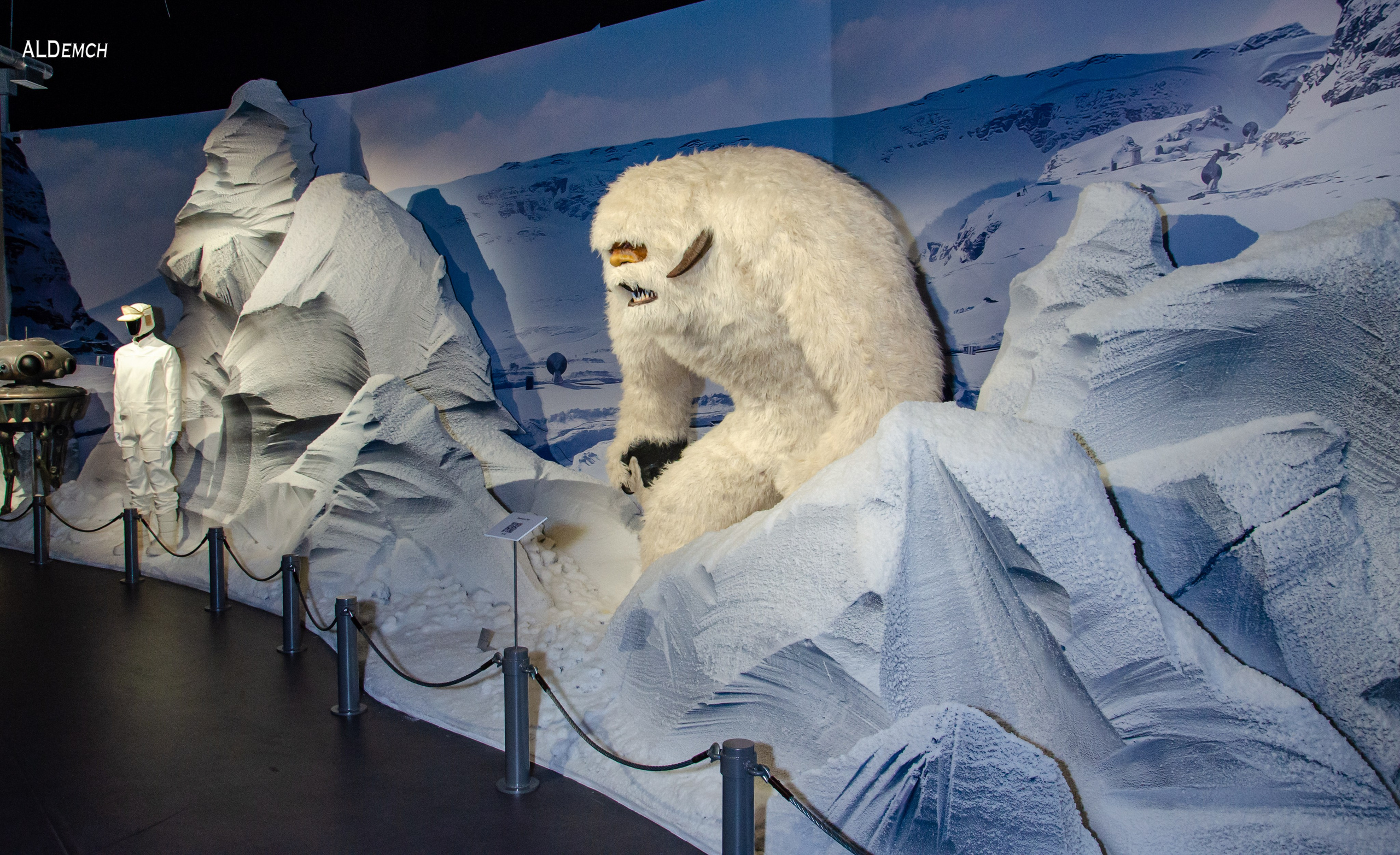 Фотосессия на ВДНХ косплей выставки по звёздным войнам