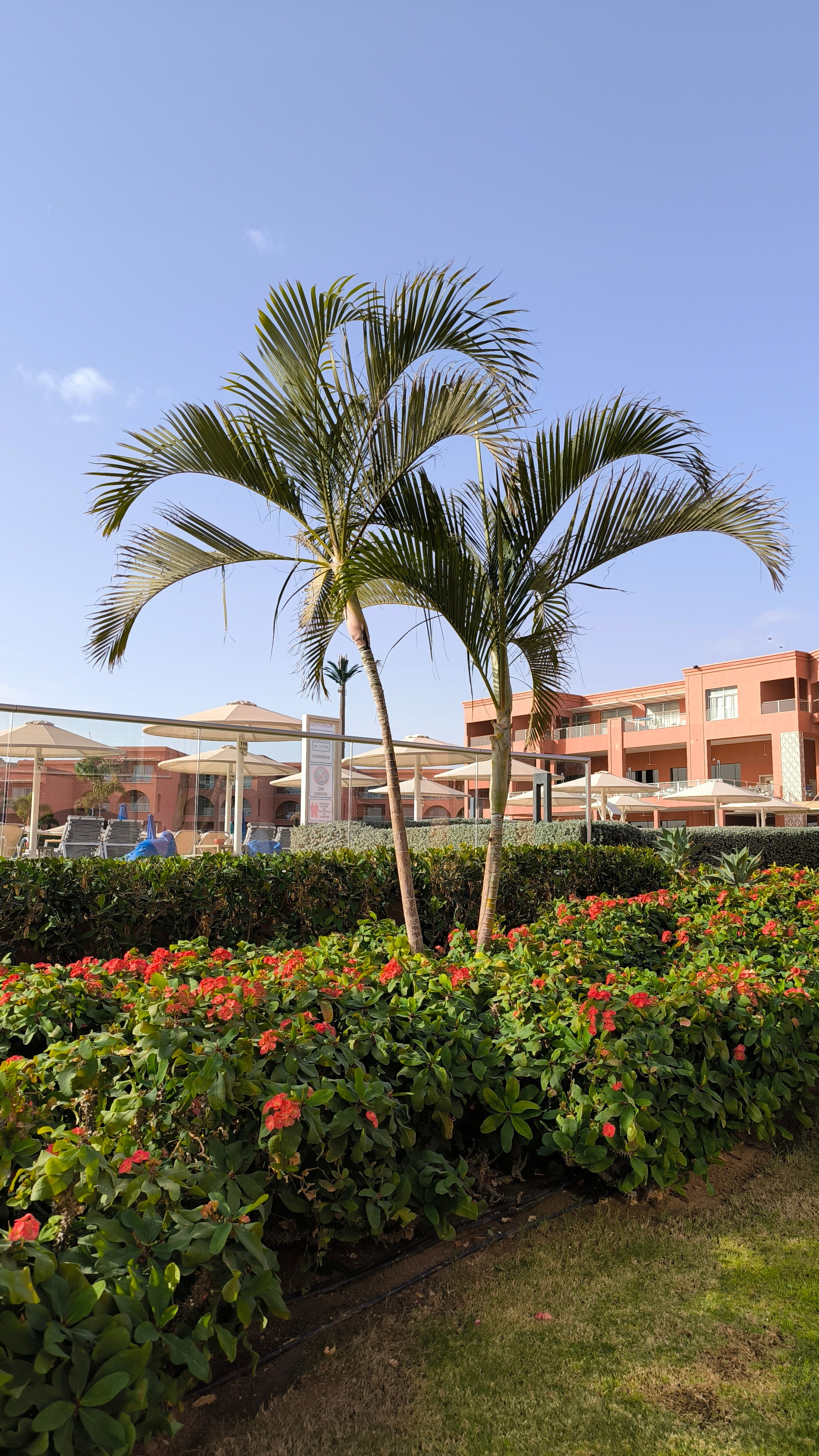 Шарм-Эль-Шейх. Светлана Иванова - профессиональный фотограф