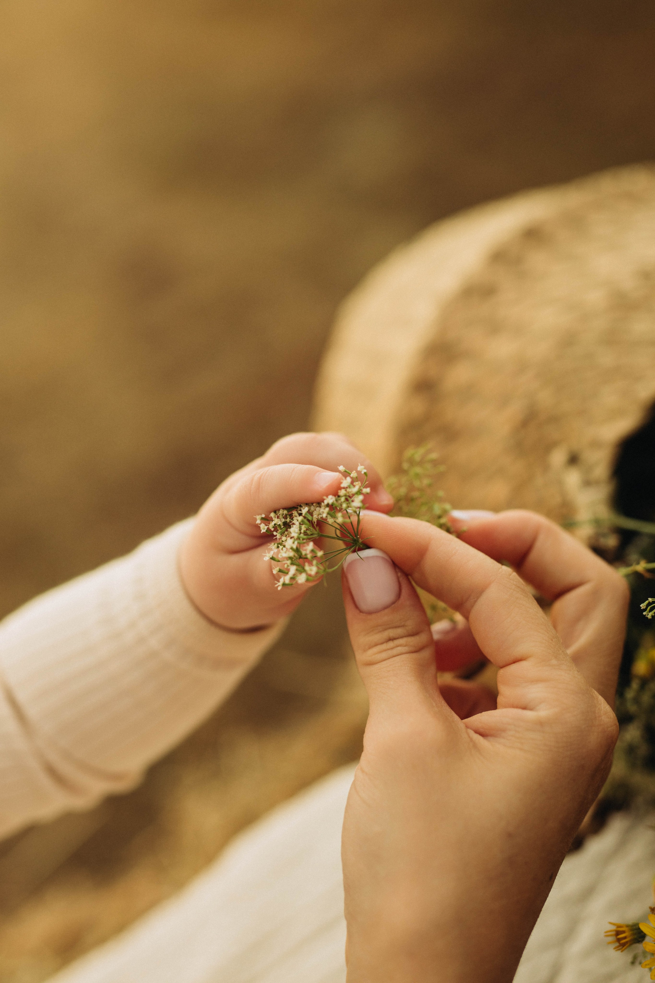 Семейные истории. Семейный фотограф Даша Погорелова г. Богучар