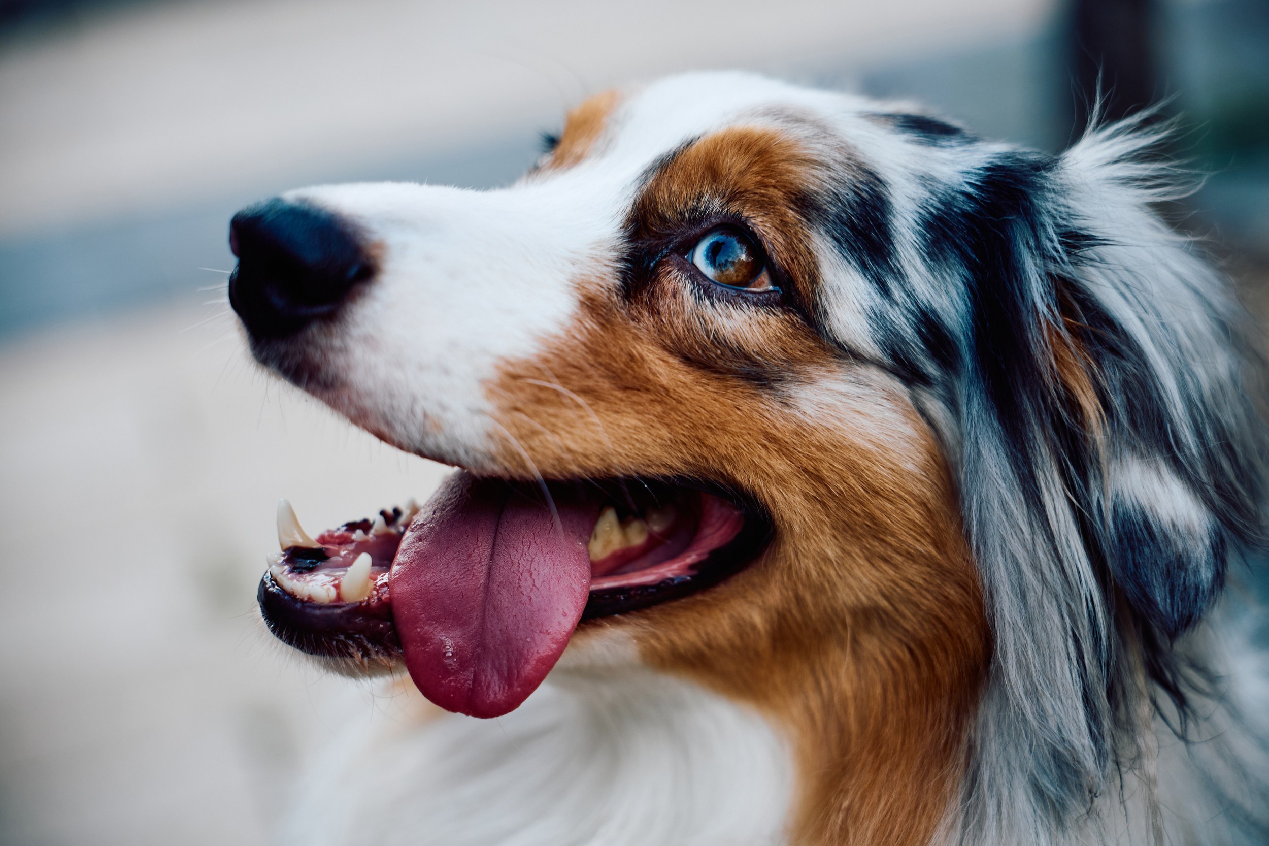 41. Фотограф Недорез Александр в Москве. Репортаж на ваших мероприятиях
