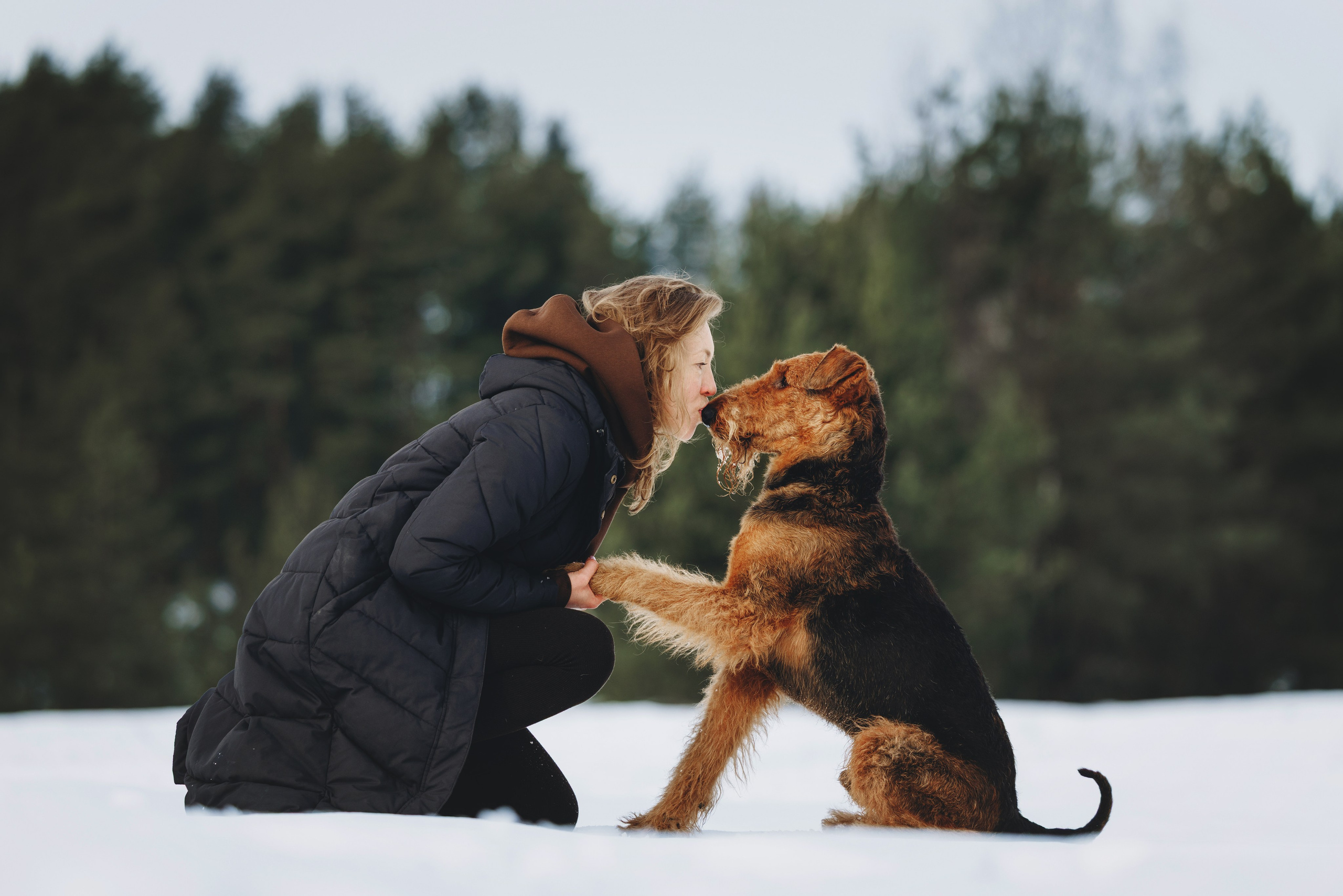 Оля и Хард. Фотограф анималист Осипчикова Мария