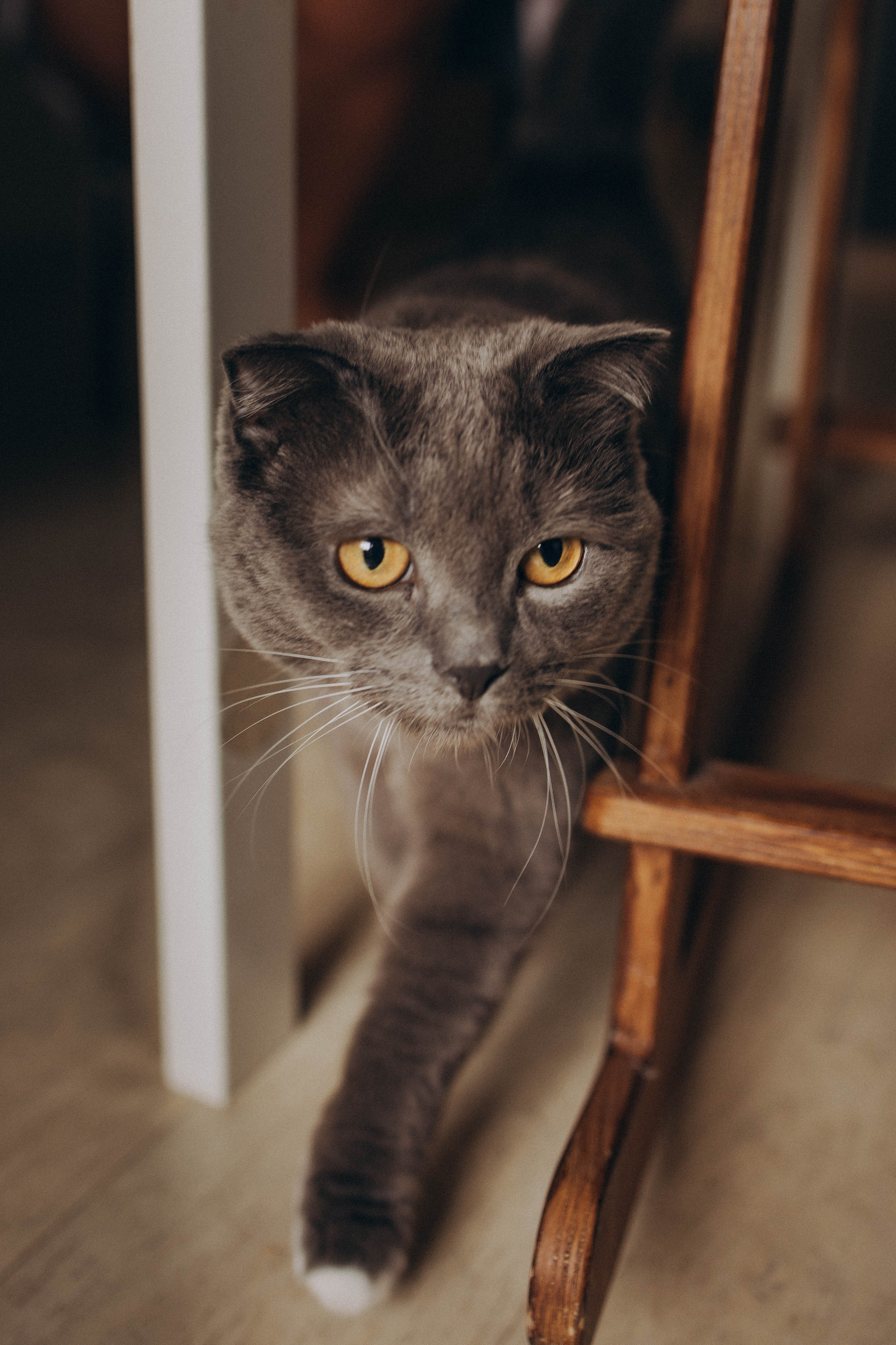 Саша Аня и Василиса. Фотограф lifestylе в Москве Пшеничная Анастасия