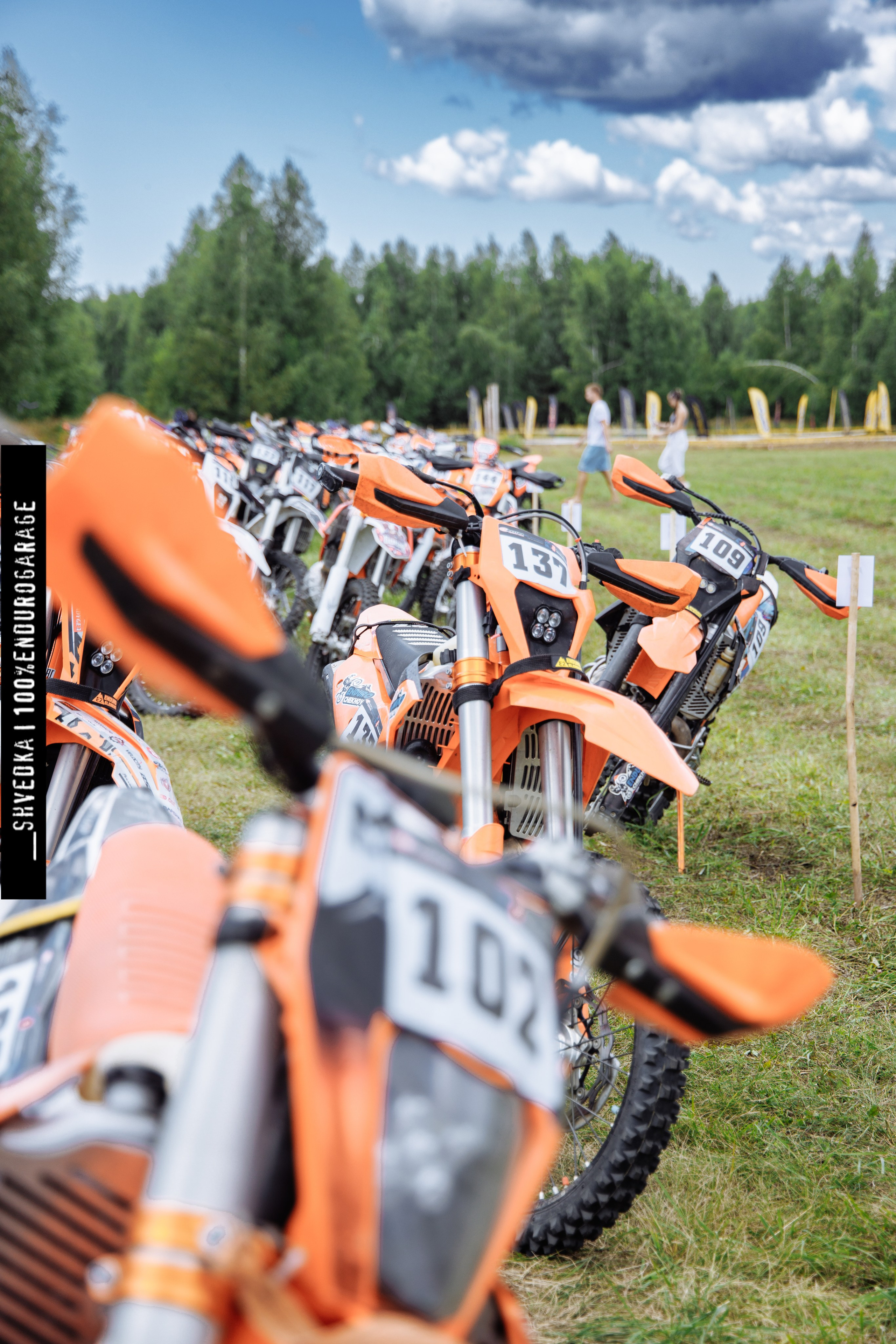 ПЕРВЫЙ ЛЕСНОЙ ДЕНЬ. Ваш экстрим фотограф Кудрева Яна