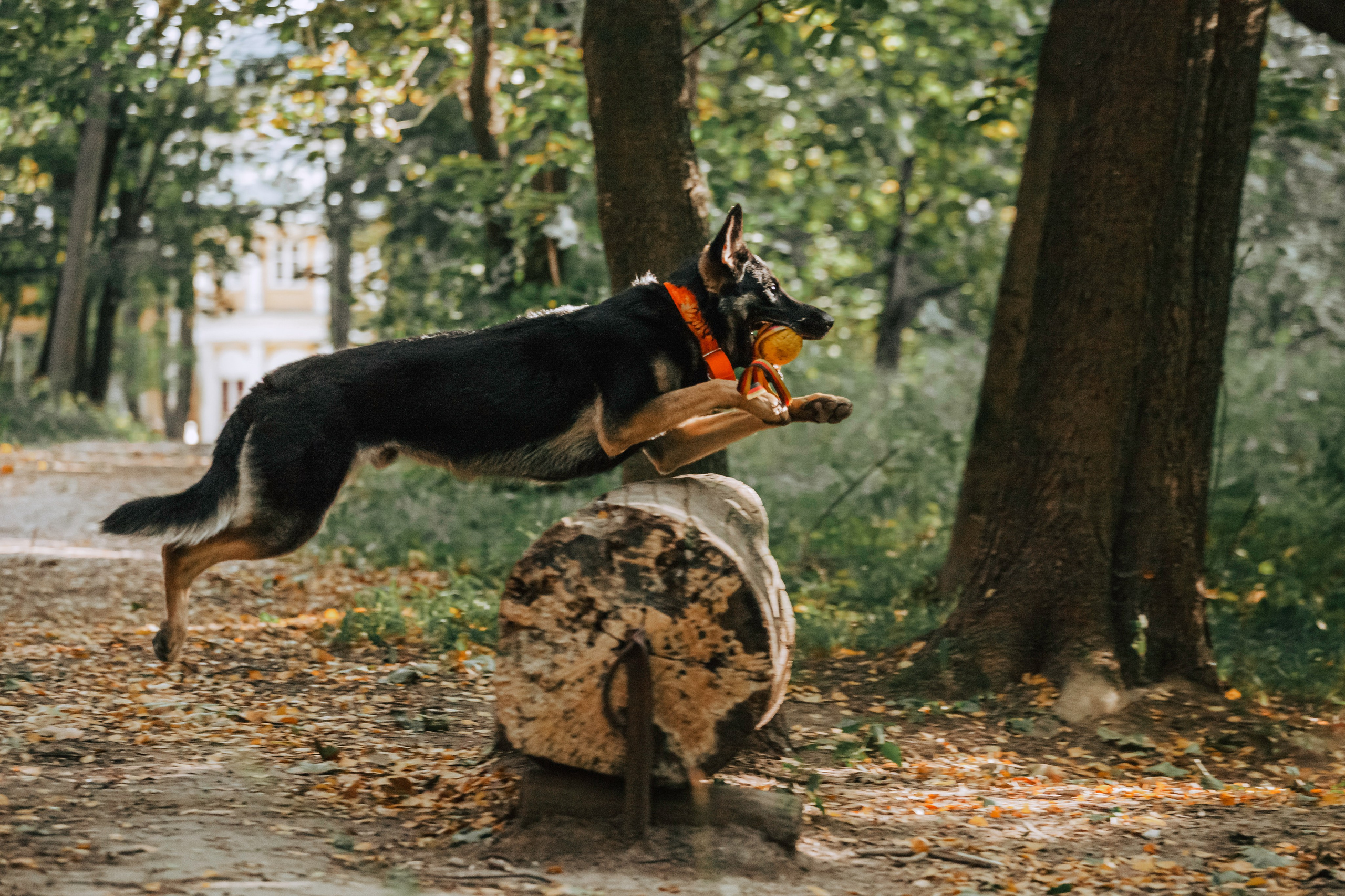Илай. Фотограф-анималист Татьяна Степанова