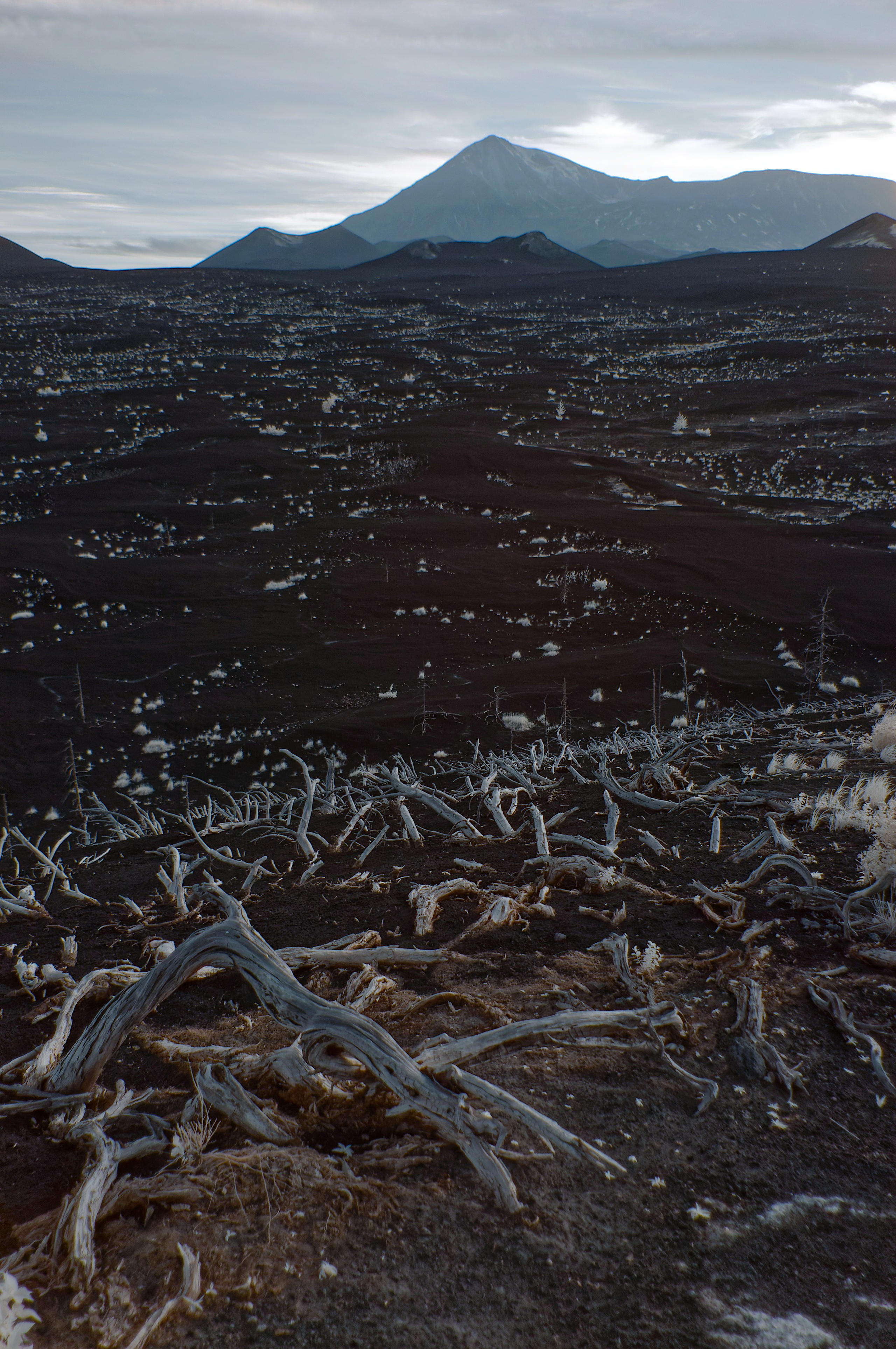 Камчатка. Фототрип. Тур?. Семоха Валерий. Фотограф