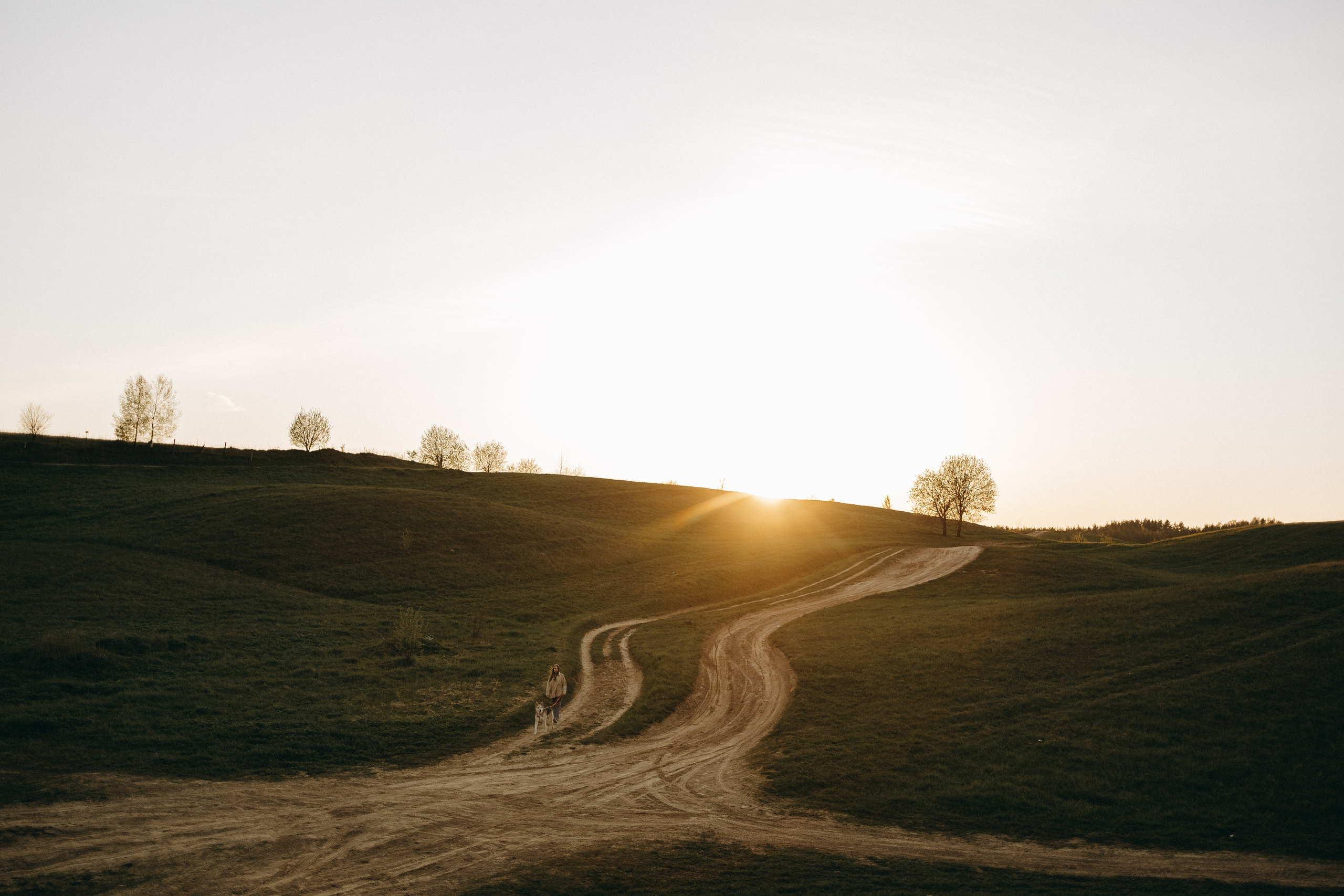 Саша и Зельда. Фотограф — Анималист | Санкт-Петербург