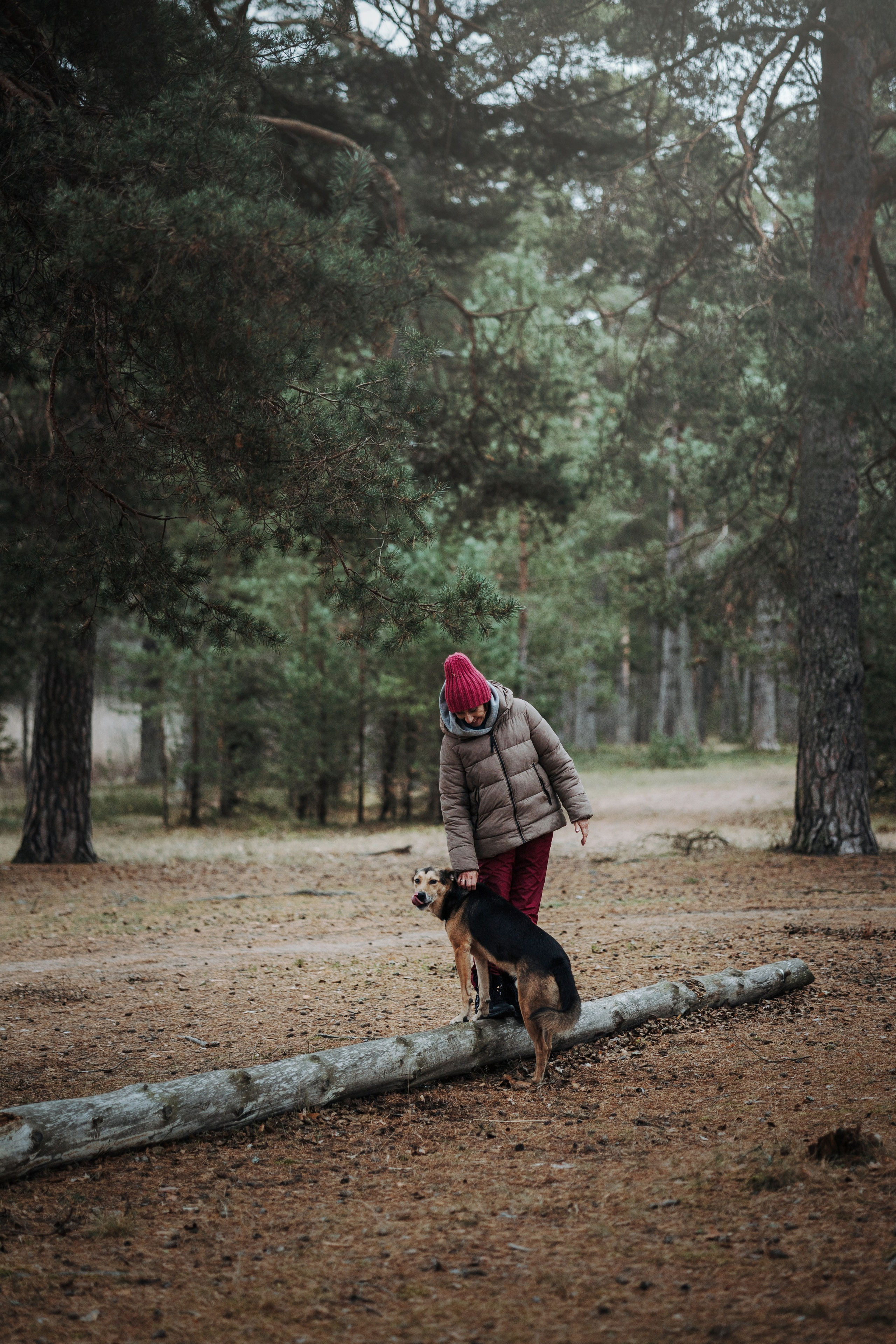 Наталья и Того. Фотограф — Анималист | Санкт-Петербург
