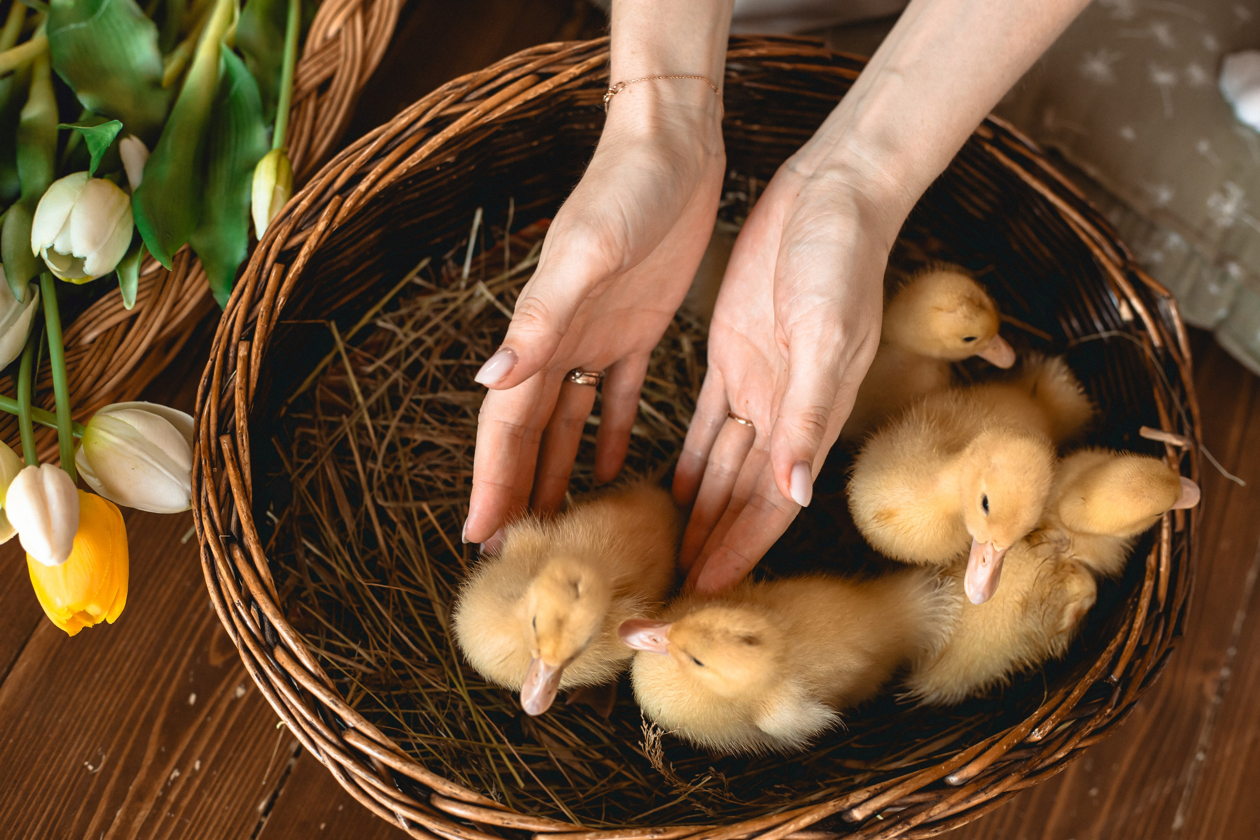 СЕМЕЙНЫЕ. Фотограф крещений, семейный фотограф Приходько Ксения