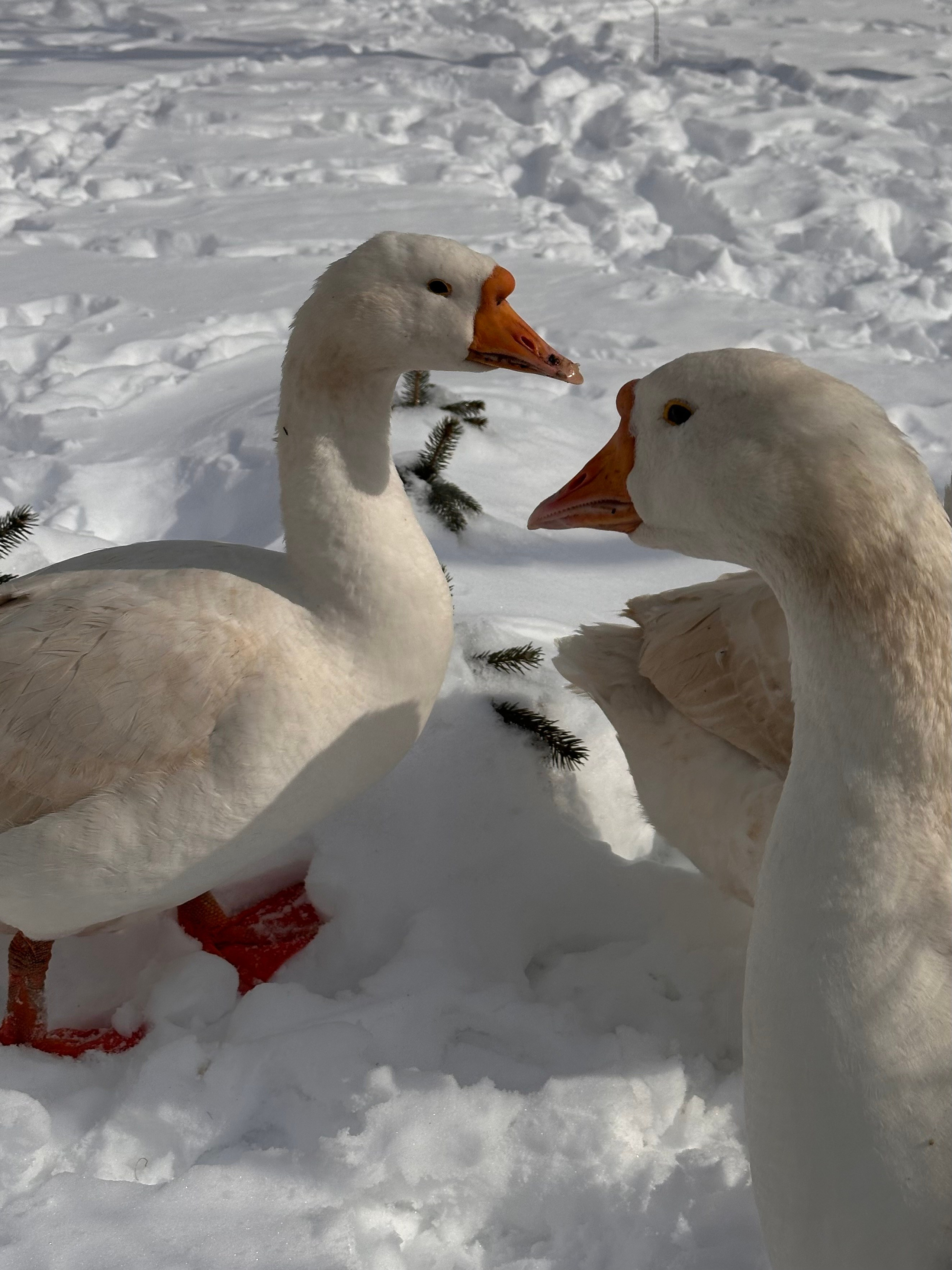 EXHIBITION. Репортажный и интерьерный фотограф, фотохудожник