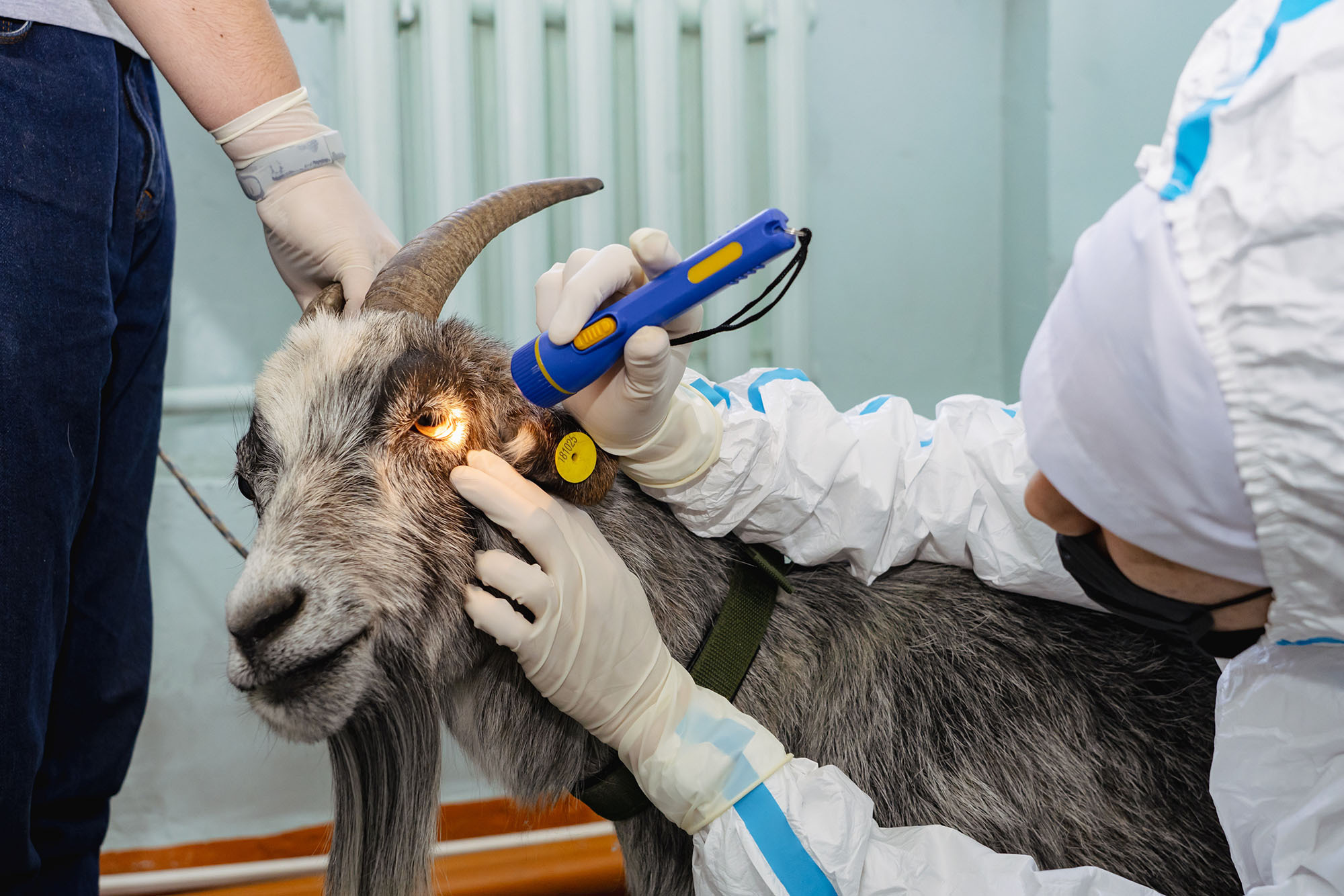 Региональный этап чемпионата по профессиональному мастерству «Профессионалы». Фотограф Улан-Удэ Этагоров Баир