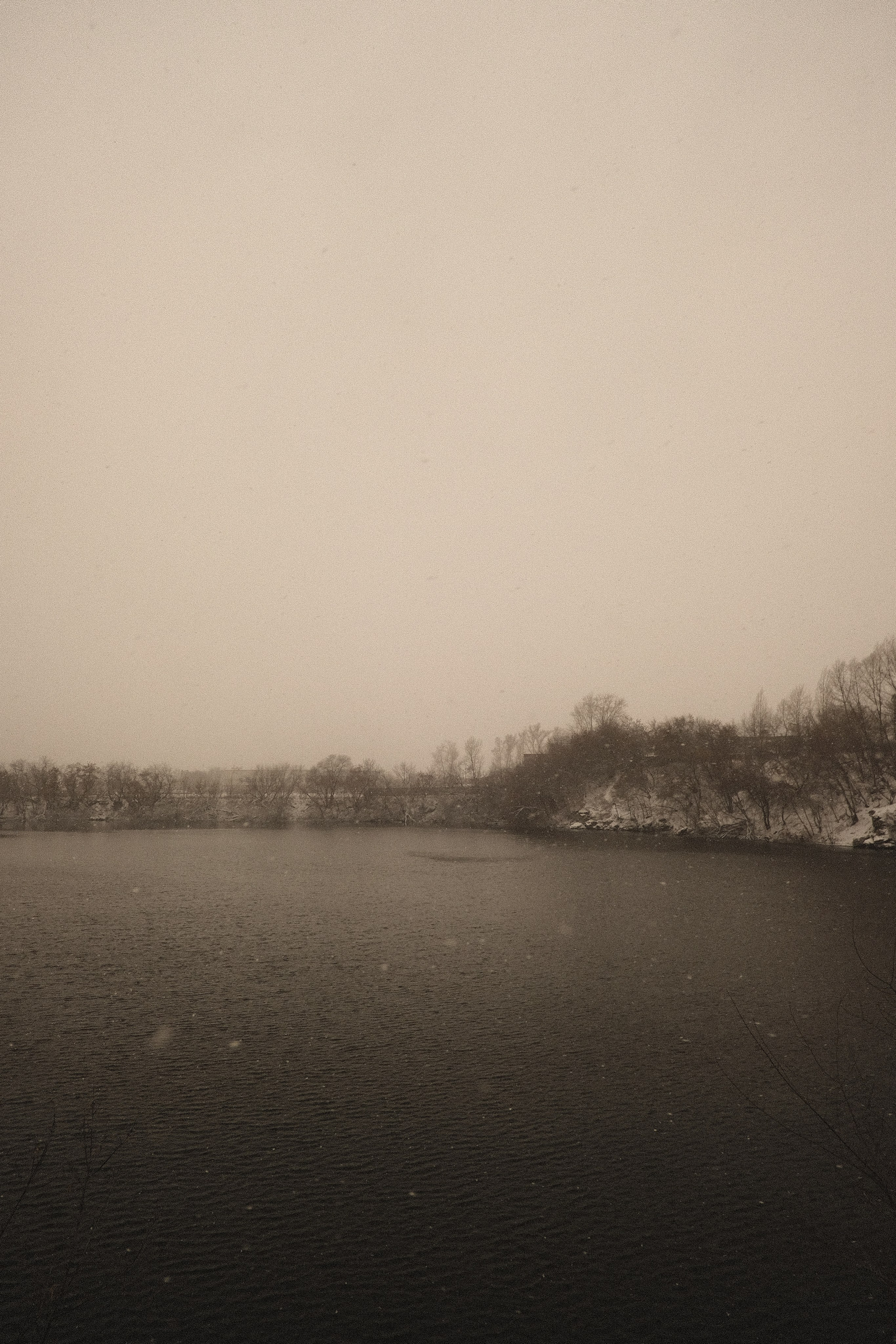 Наблюдения. Семейный фотограф в Новосибирске Артём Кузнецов