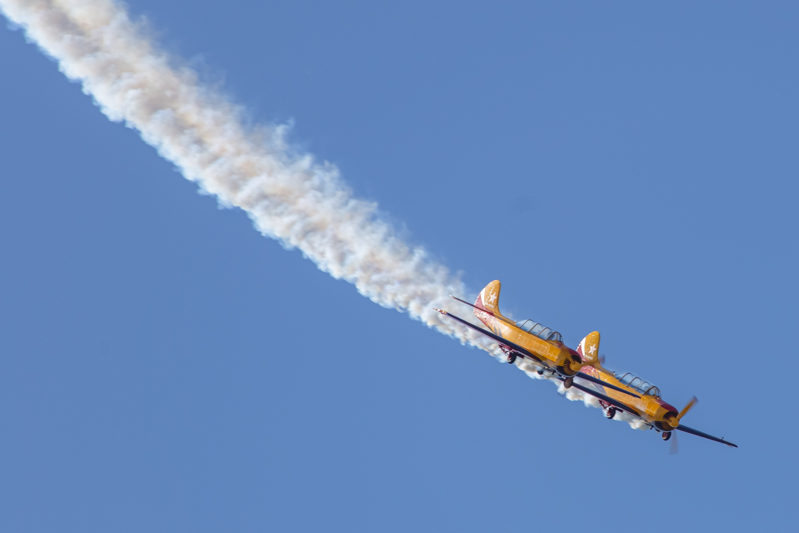 Крылья Пармы 2025 г. KATERINA VINOKUROVA ФОТОГРАФ ПЕРМЬ