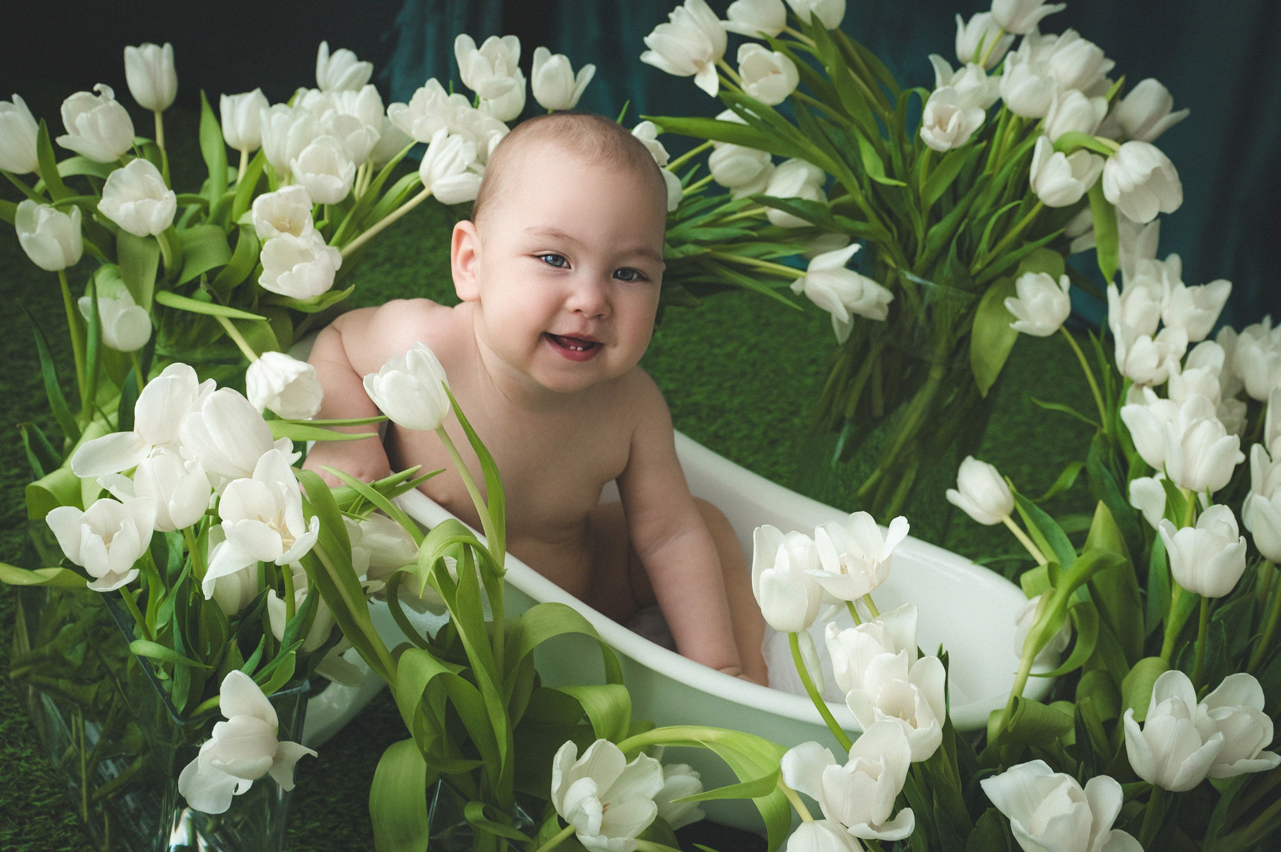 Тюльпаны. Фотограф новорожденных и детей в Барнауле — Екатерина Шапкина