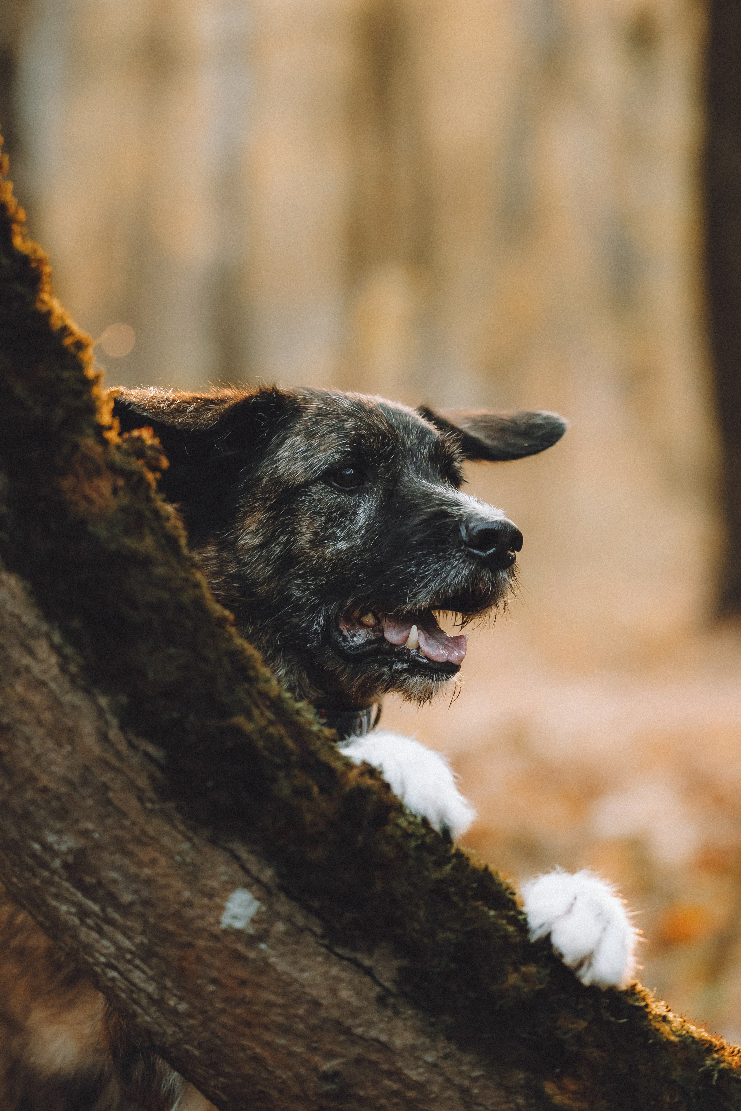 Рик, Джек и их семья