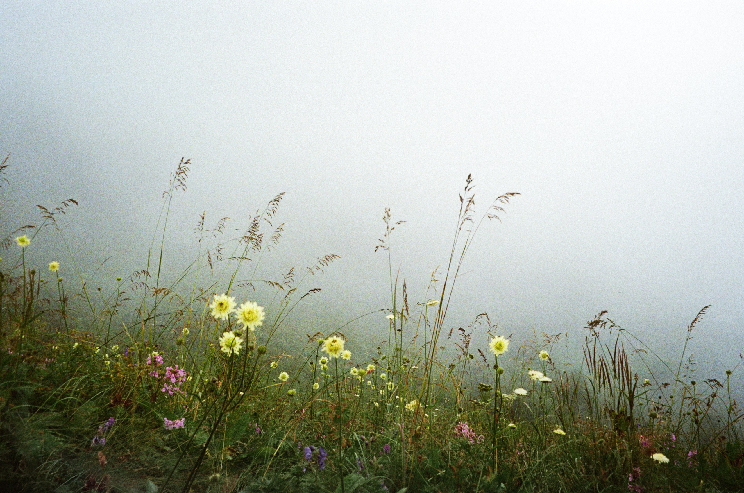 IN THE MOUNTAINS. Любовь Моргасова [LU SPRING]: Фотограф и куратор