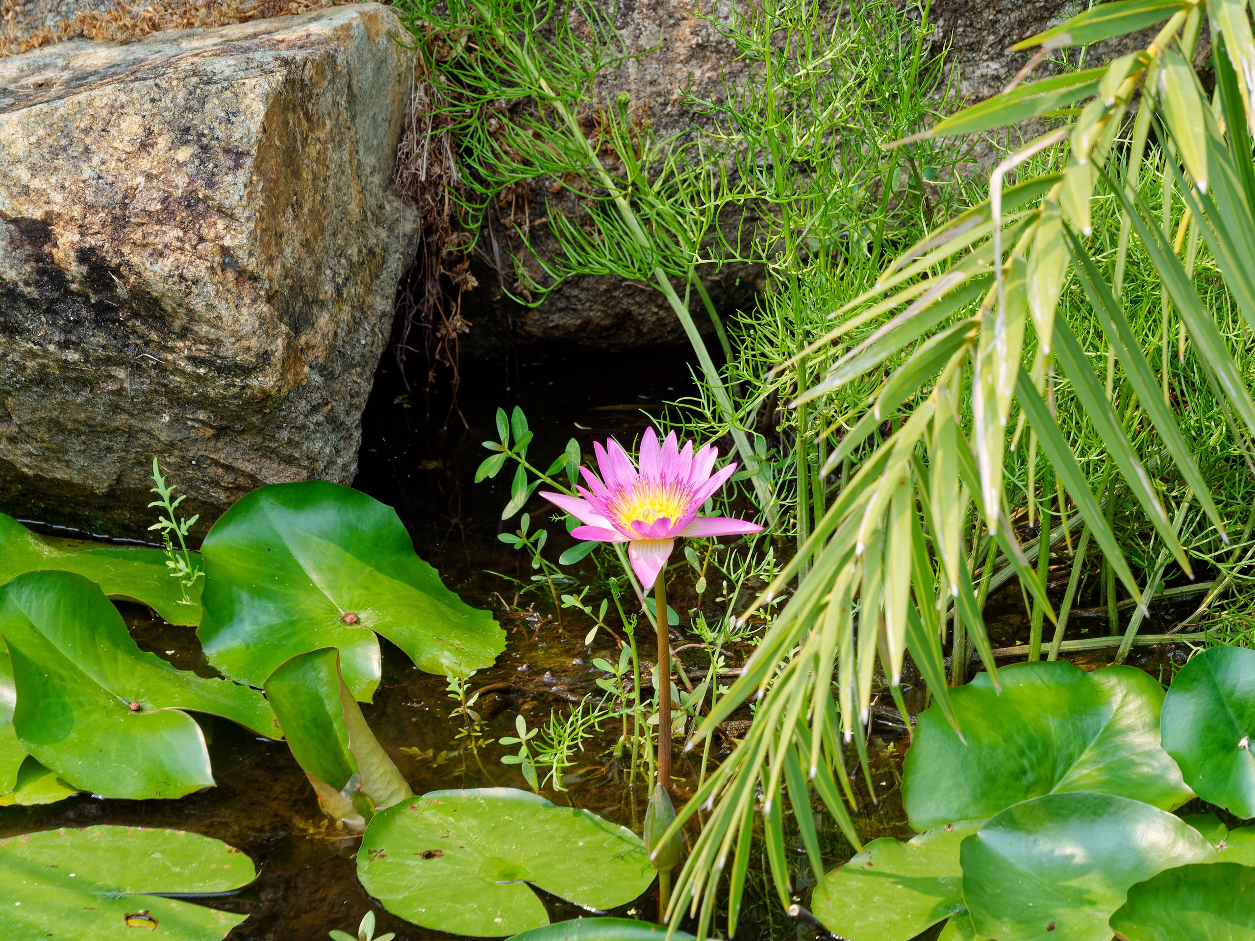 Хайнань 2026, первые впечатления. Фотопрогулки по Миру
