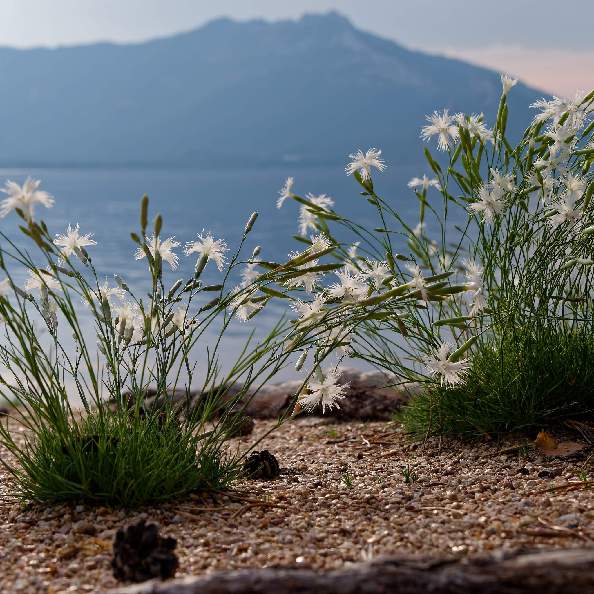 Боровое 2024 (из архива). Избранные фотографии
