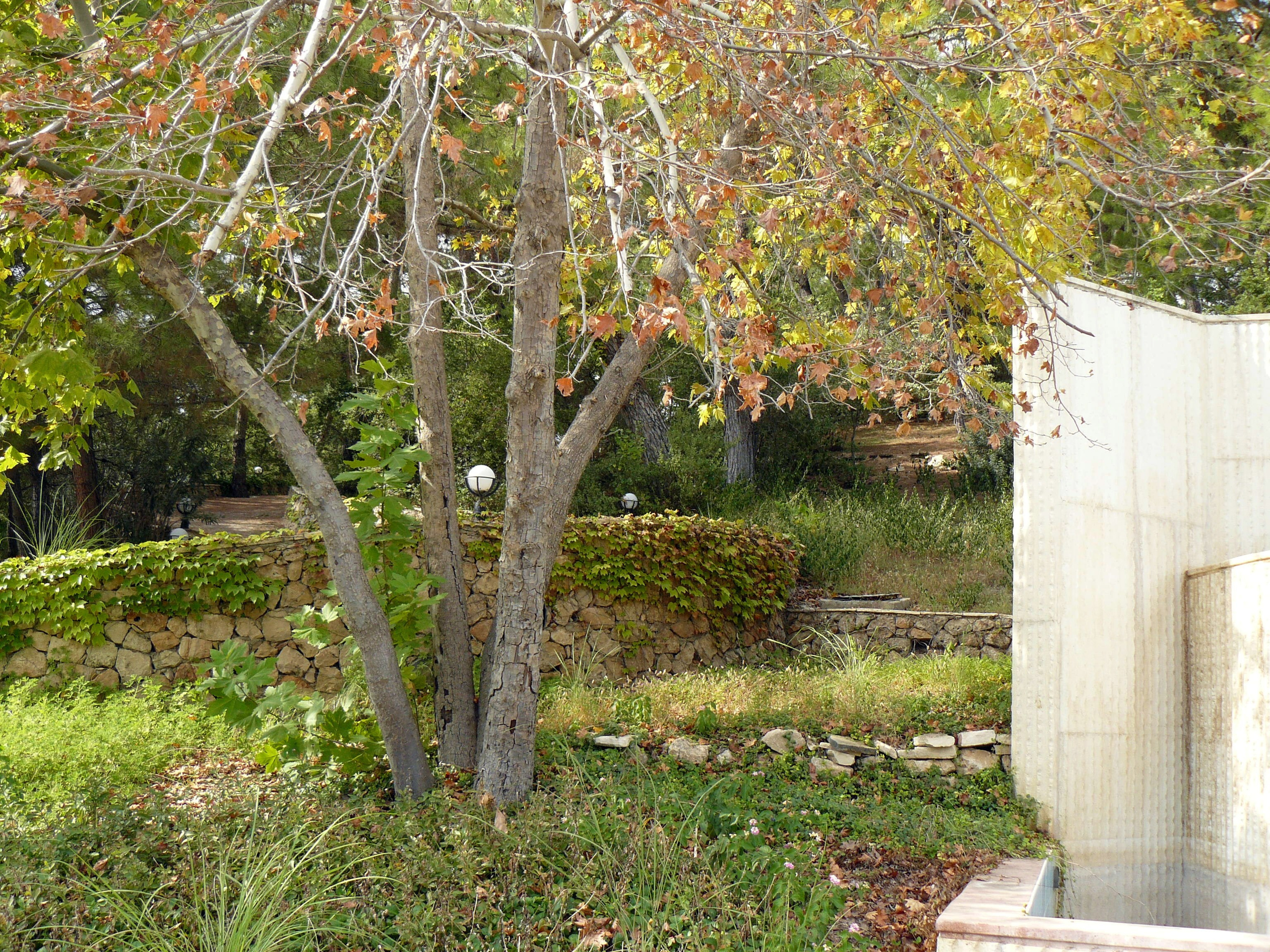 Кемер, Чамьюва 2008. Избранные фотографии