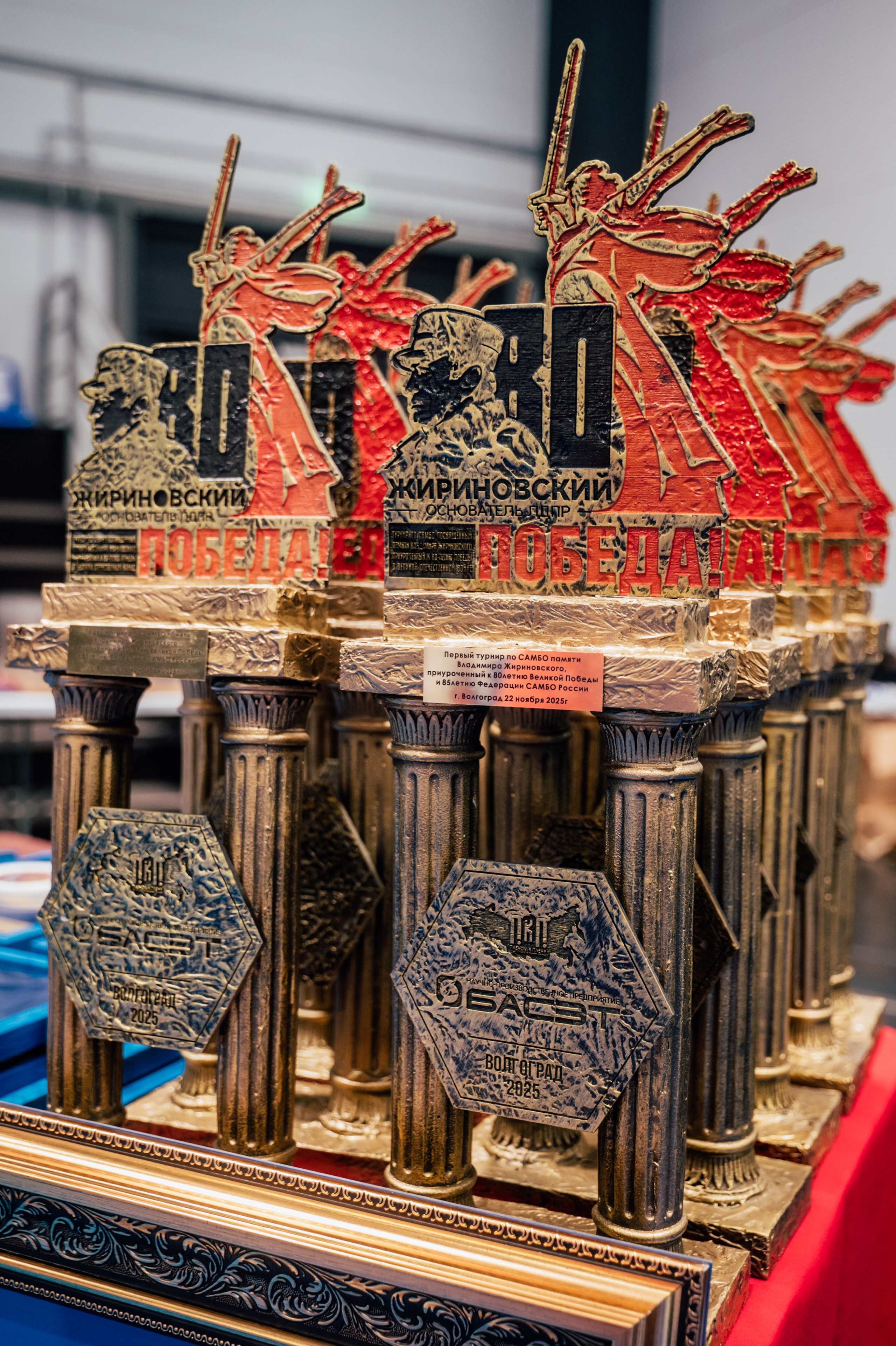 Турнир по самбо ЮФО