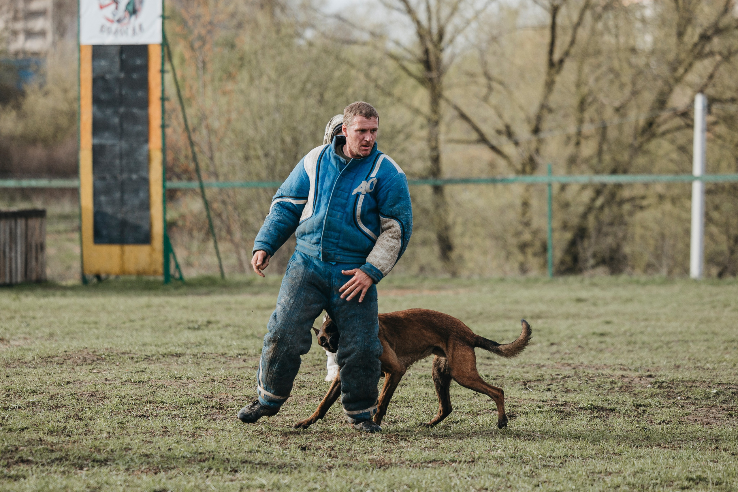 09.05.25 Вологда соревнования. Фотограф-анималист Анна Маринич