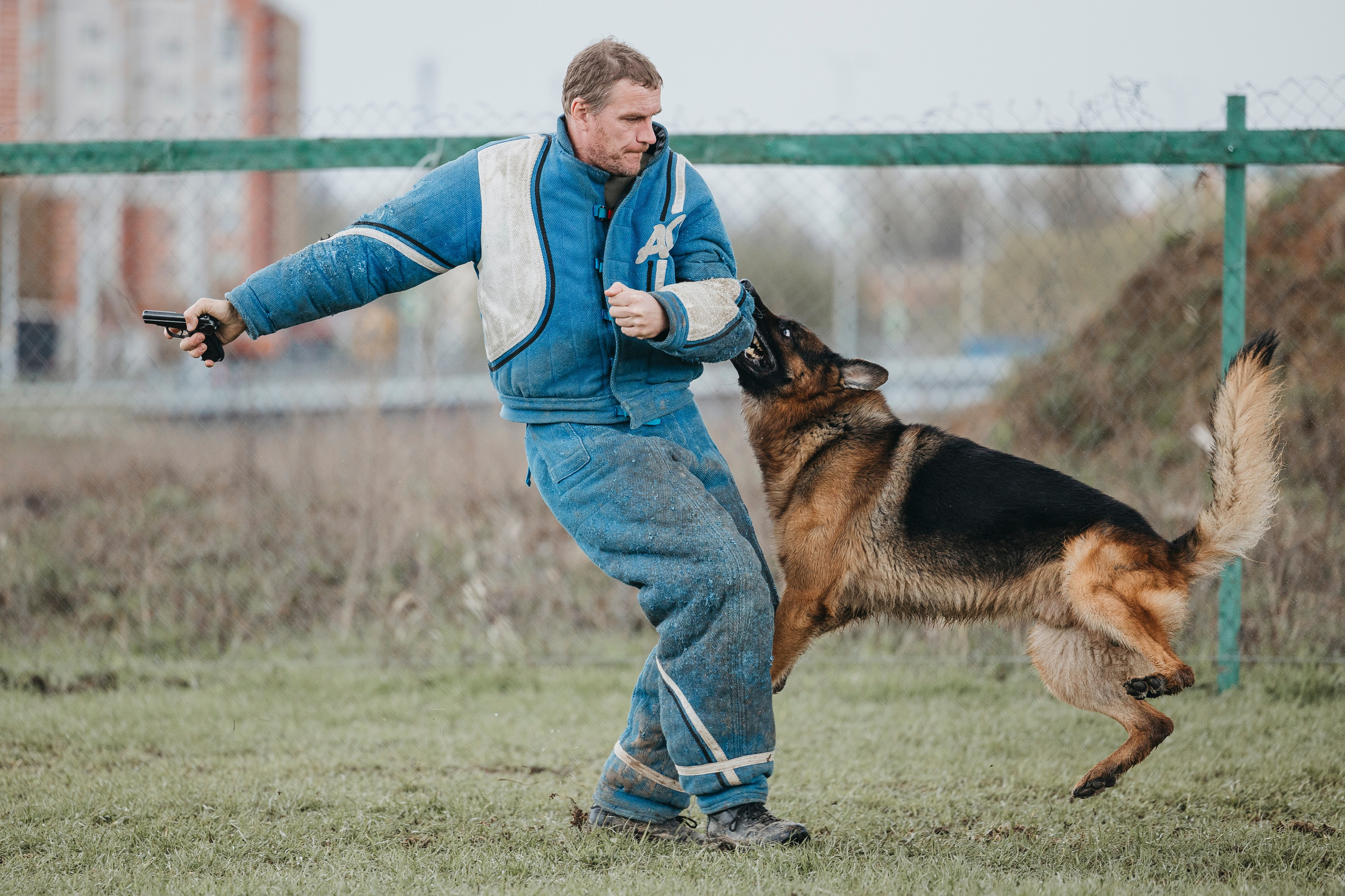 09.05.25 Вологда соревнования. Фотограф-анималист Анна Маринич
