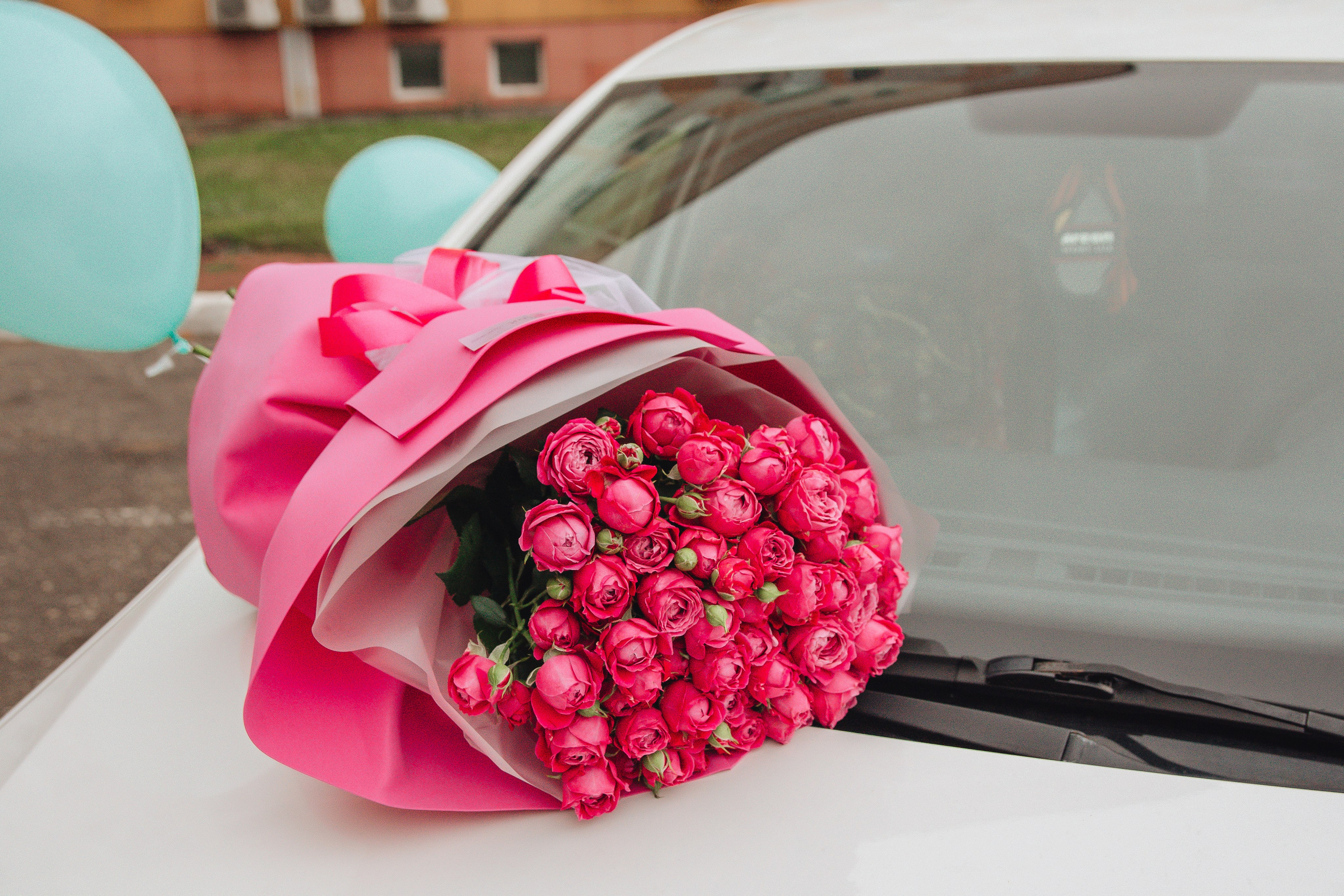 Выписка Александра. Свадебный и семейный фотограф Пушкин Царское Село СПБ Питер Санкт-Петербург и Рязань Ольга Козлова
