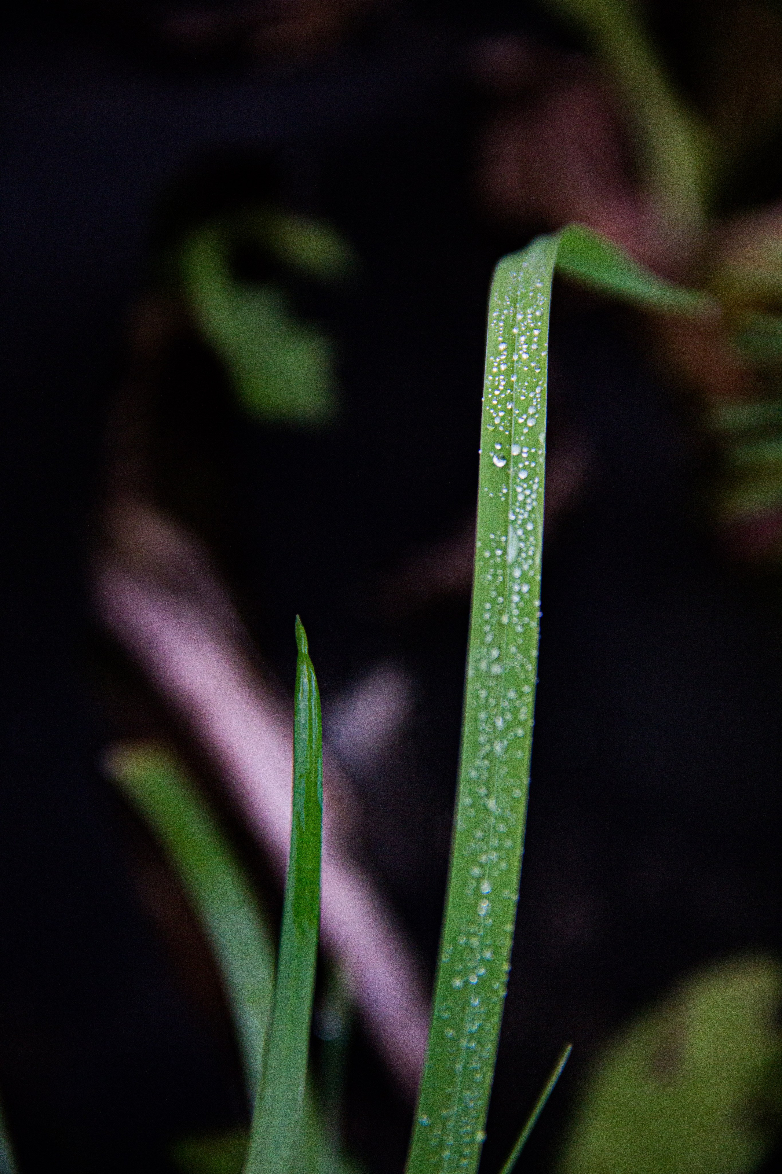 Subject: в саду. Фотограф в Перми Любовь Огородова | Авторские туры