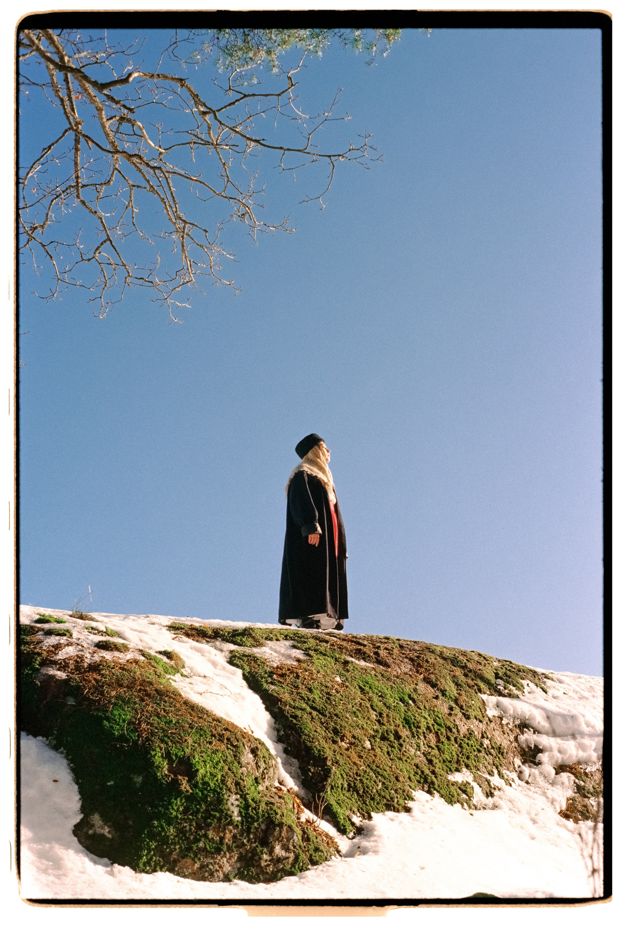 Emelyanova. Kolnauzovdmitry