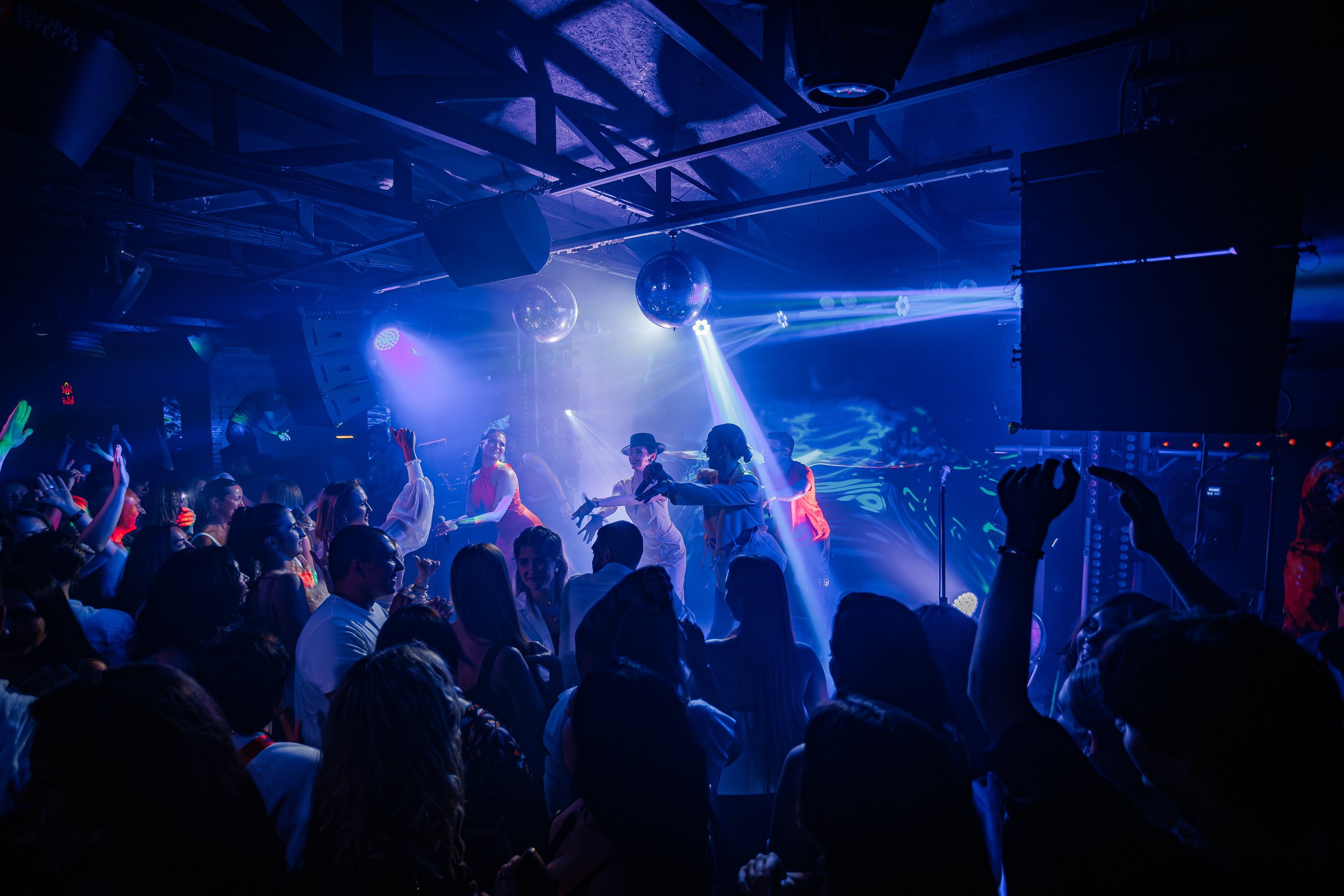 «Шура"_Чайка на пляже_Ялта_18.07.2025 г. Аминов Руслан | Фотограф