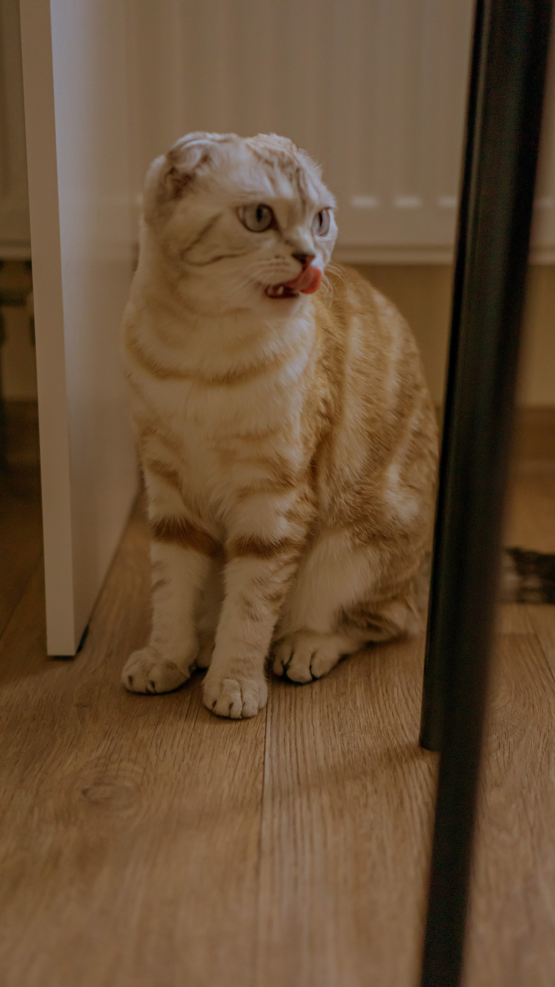 Ария. Фотограф в Кстово и Нижнем Новгороде KOLOSOK