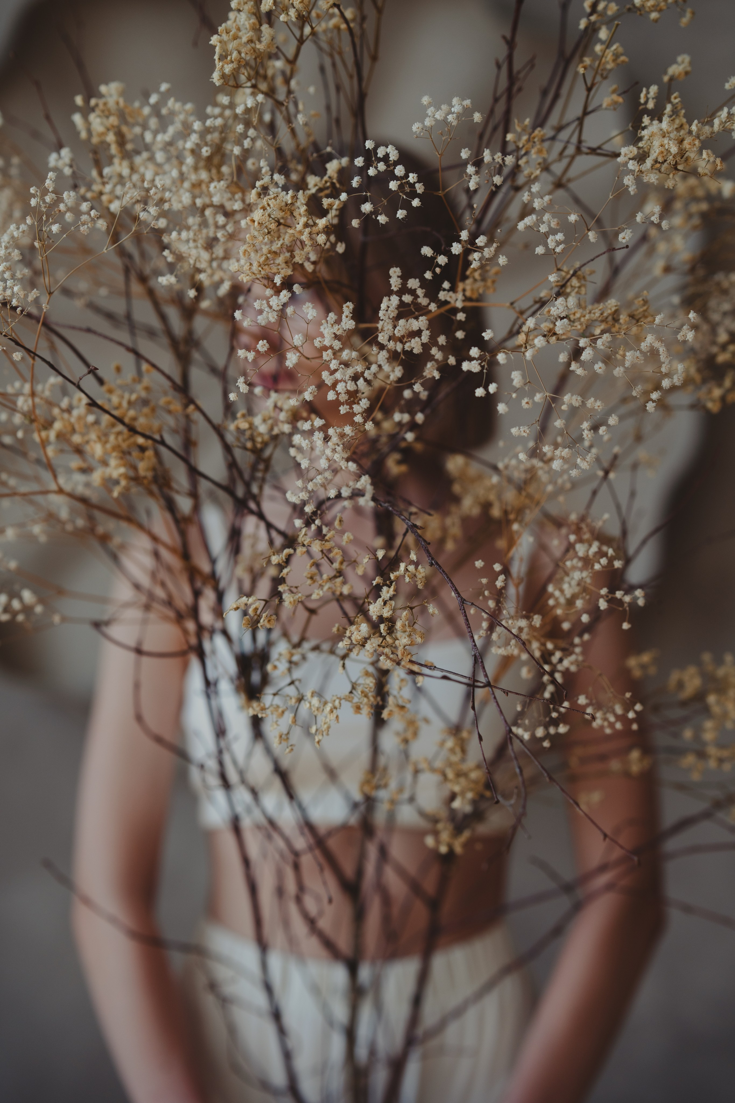 Сухоцветы. Индивидуальный фотограф в Красноярске