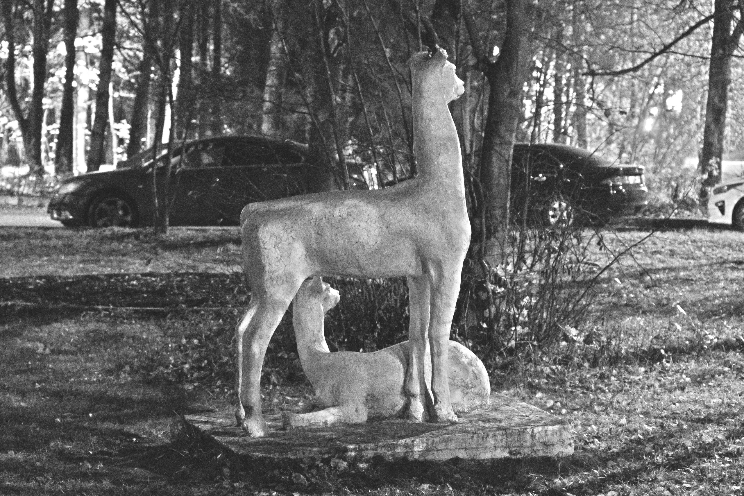 Фотоальбом с разными съёмками